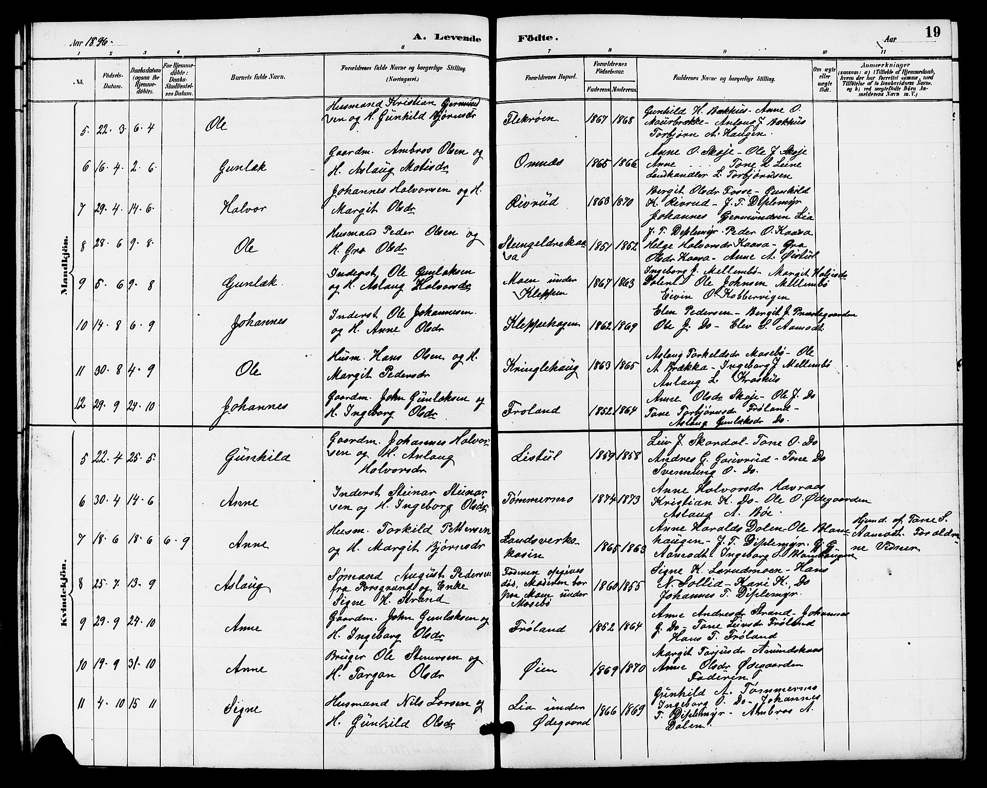 Hjartdal kirkebøker, SAKO/A-270/G/Gb/L0003: Parish register (copy) no. II 3, 1884-1899, p. 19