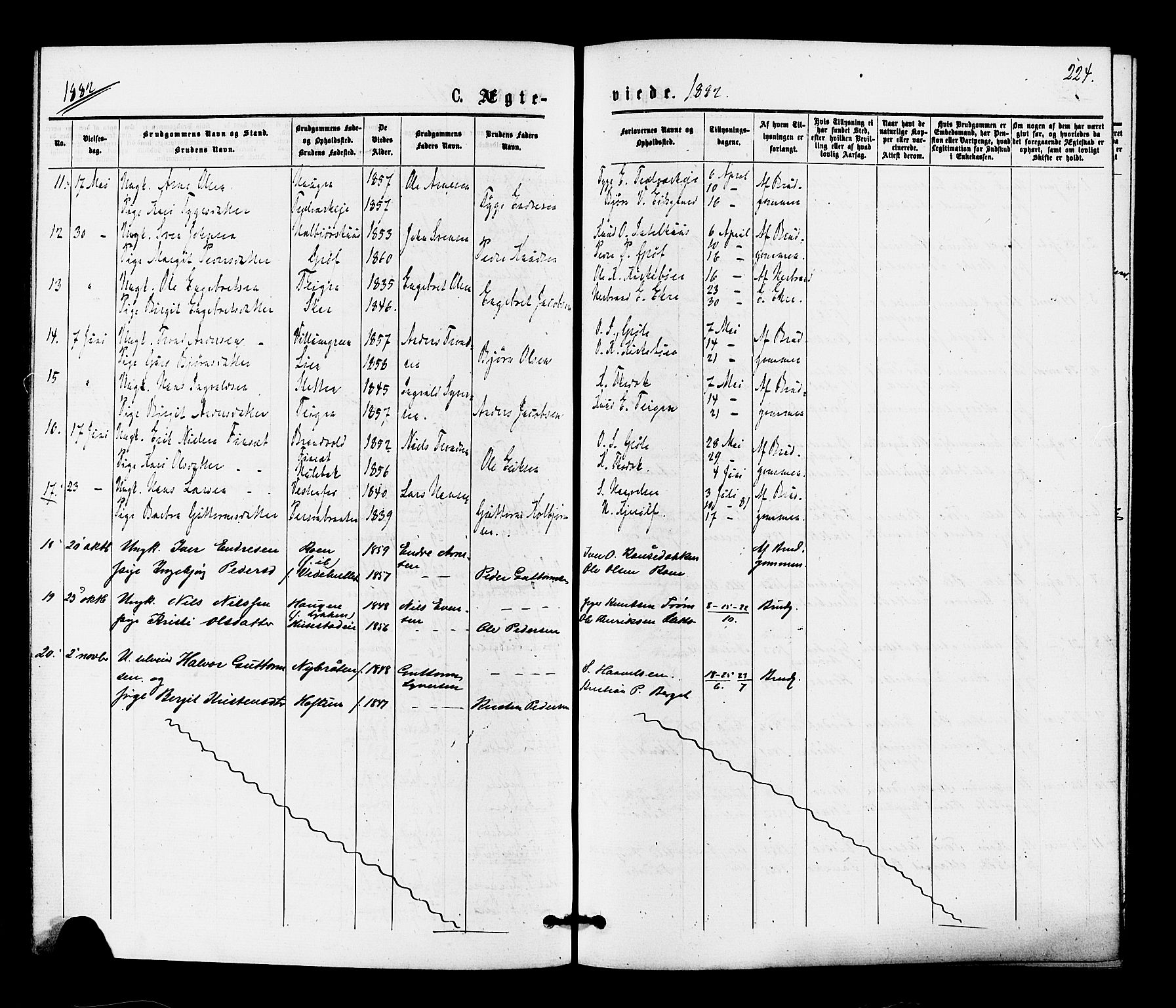 Gol kirkebøker, SAKO/A-226/F/Fa/L0004: Parish register (official) no. I 4, 1876-1886, p. 224