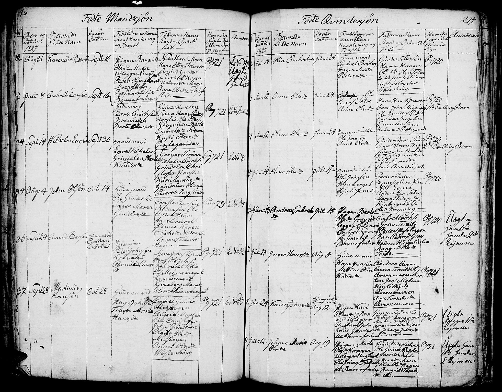 Elverum prestekontor, AV/SAH-PREST-044/H/Ha/Hab/L0001: Parish register (copy) no. 1, 1815-1829, p. 246-247