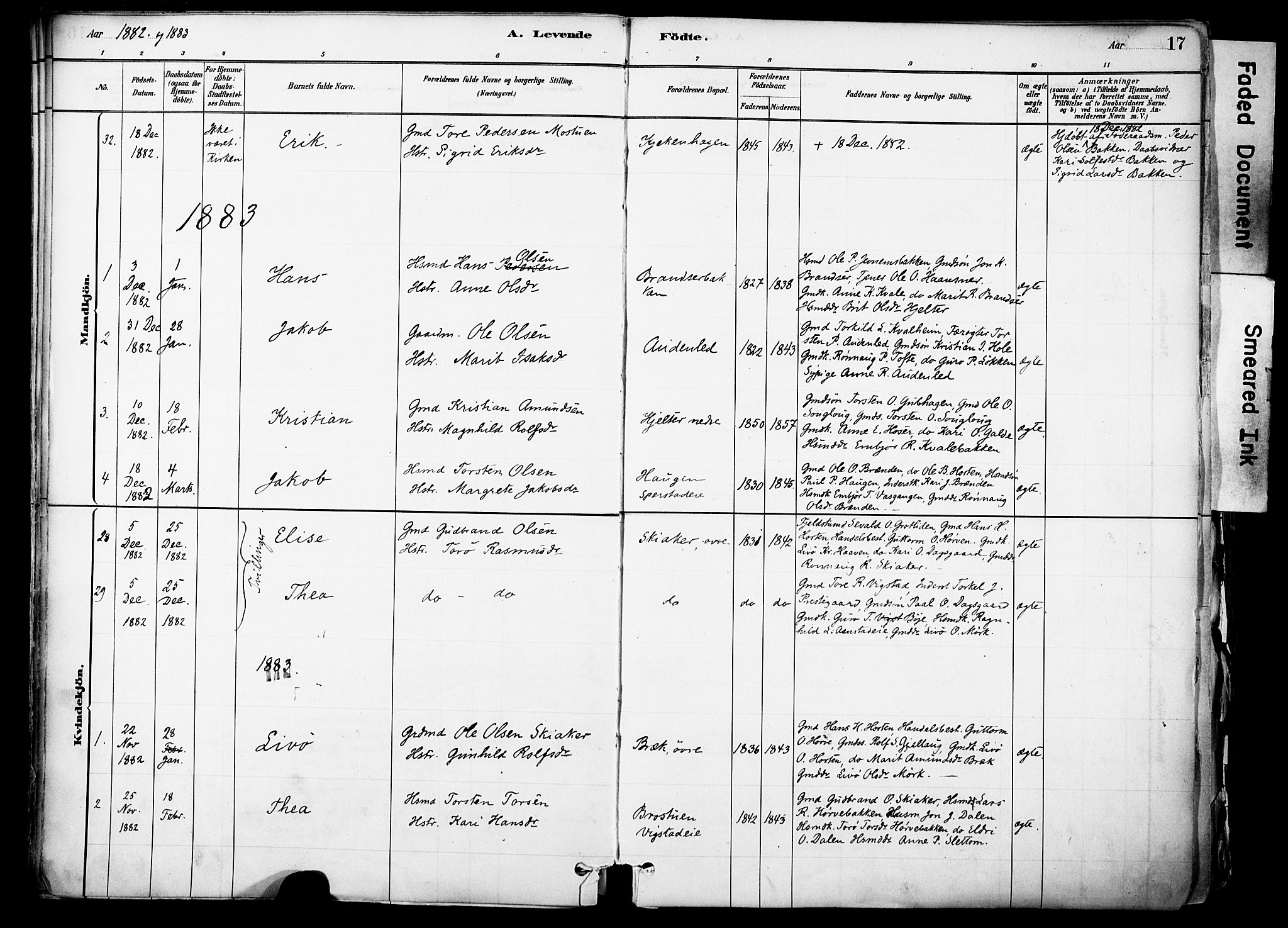 Skjåk prestekontor, SAH/PREST-072/H/Ha/Haa/L0003: Parish register (official) no. 3, 1880-1907, p. 17