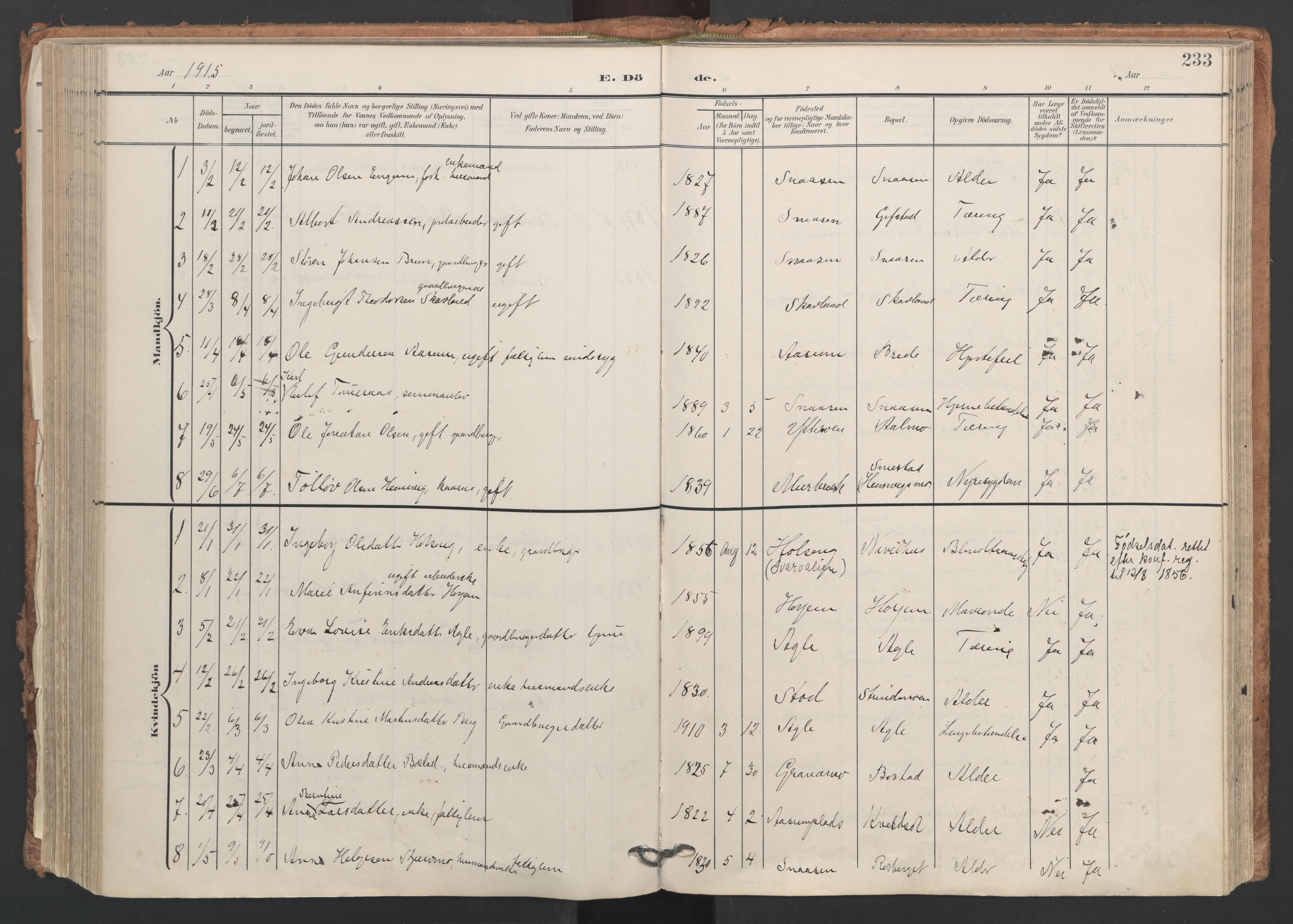 Ministerialprotokoller, klokkerbøker og fødselsregistre - Nord-Trøndelag, AV/SAT-A-1458/749/L0477: Parish register (official) no. 749A11, 1902-1927, p. 233