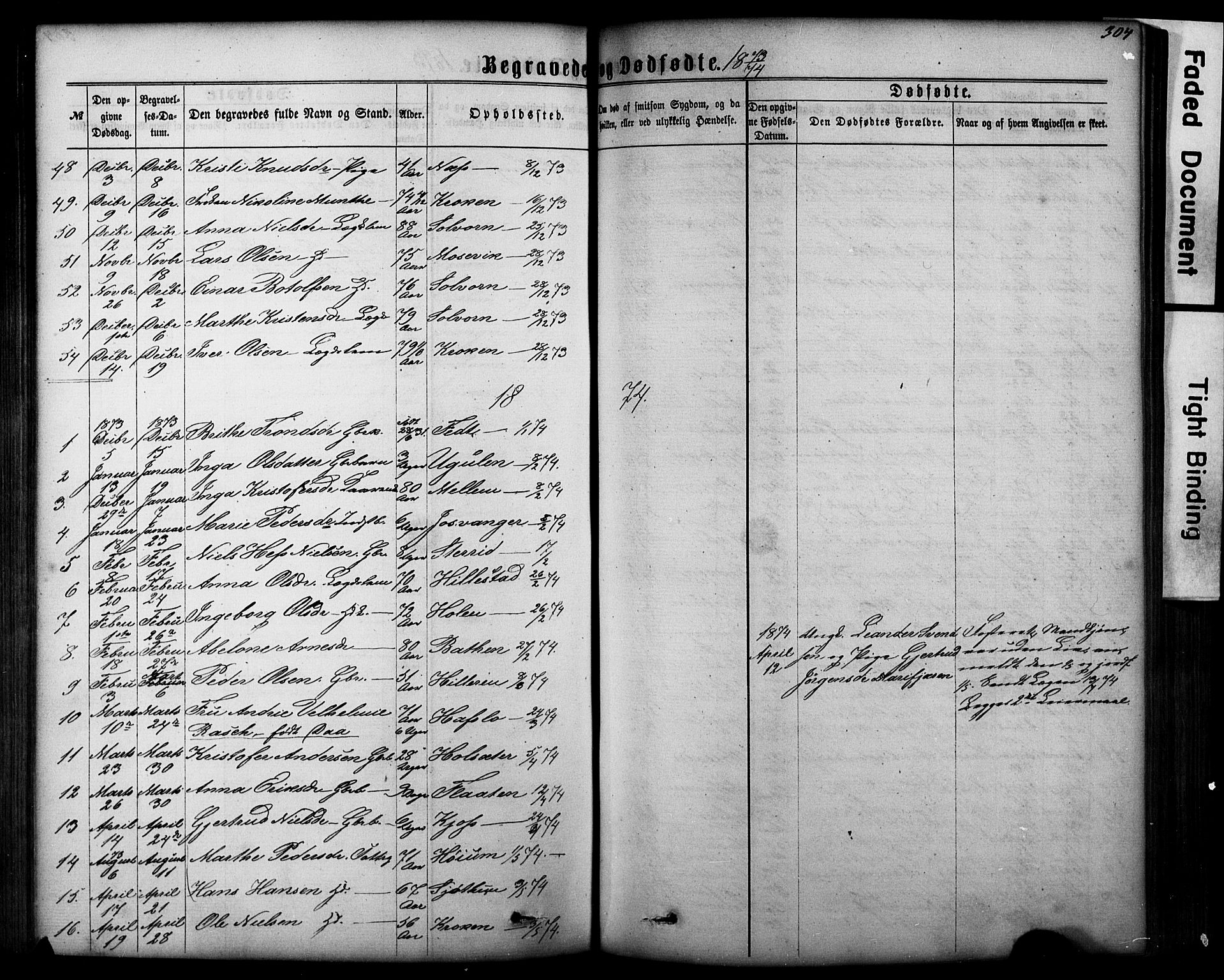 Hafslo sokneprestembete, SAB/A-80301/H/Hab/Haba/L0001: Parish register (copy) no. A 1, 1866-1908, p. 304