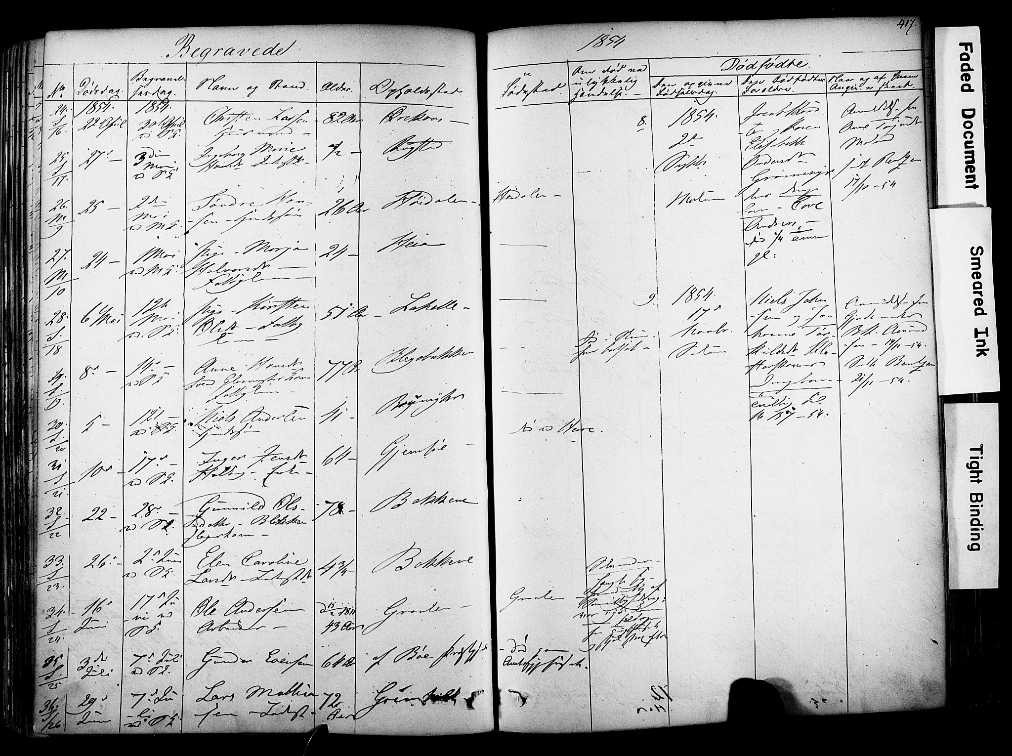 Solum kirkebøker, AV/SAKO-A-306/F/Fa/L0006: Parish register (official) no. I 6, 1844-1855, p. 417