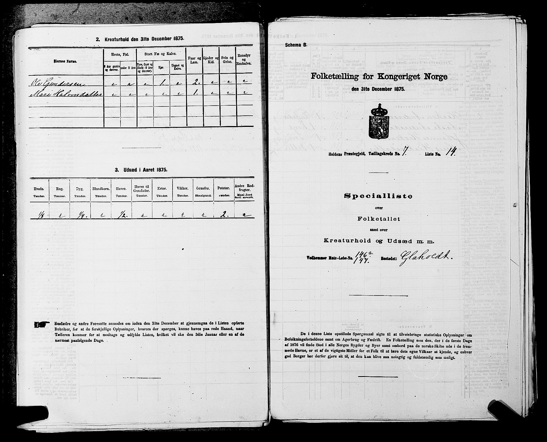 SAKO, 1875 census for 0819P Holla, 1875, p. 877