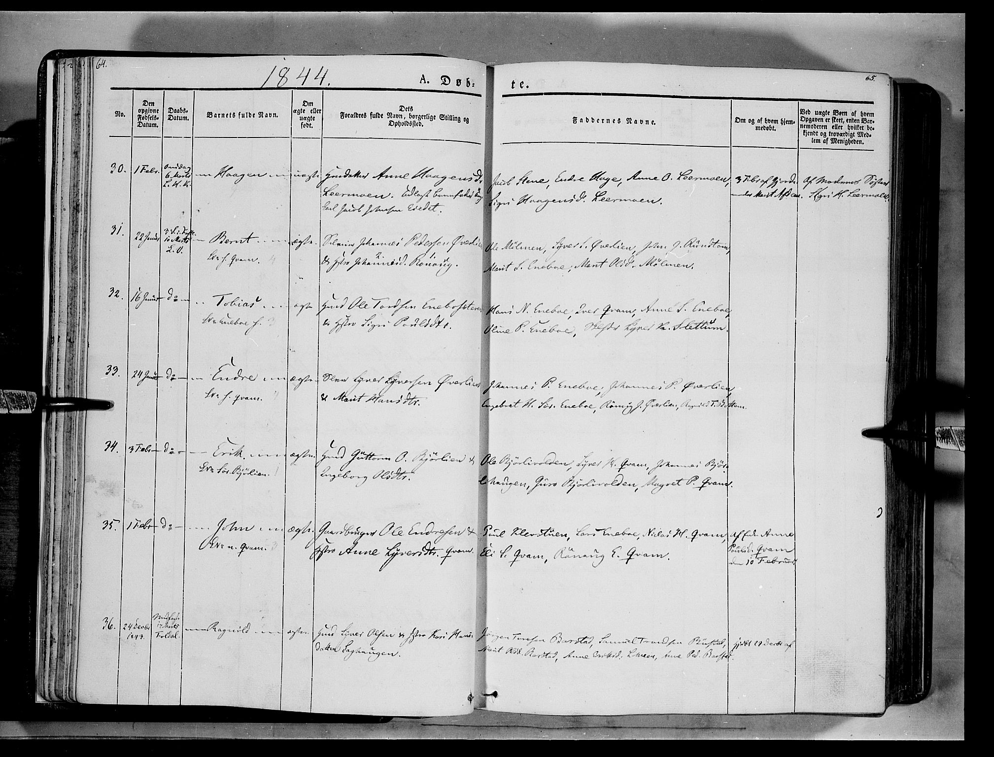 Lesja prestekontor, AV/SAH-PREST-068/H/Ha/Haa/L0006: Parish register (official) no. 6A, 1843-1854, p. 64-65