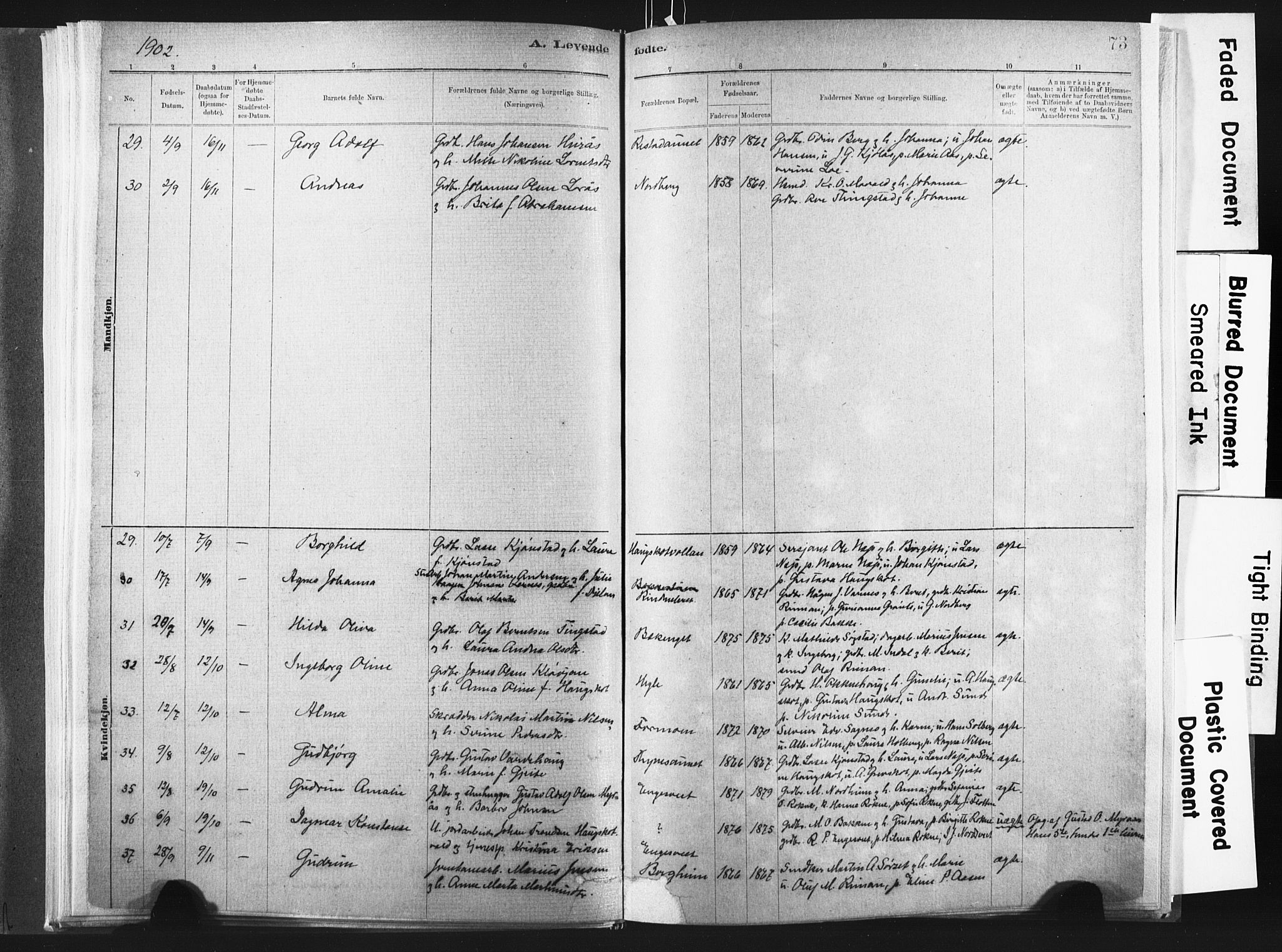 Ministerialprotokoller, klokkerbøker og fødselsregistre - Nord-Trøndelag, SAT/A-1458/721/L0207: Parish register (official) no. 721A02, 1880-1911, p. 73