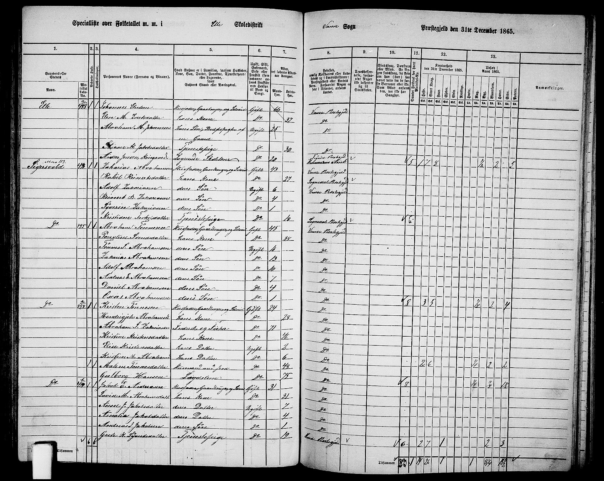 RA, 1865 census for Vanse/Vanse og Farsund, 1865, p. 173