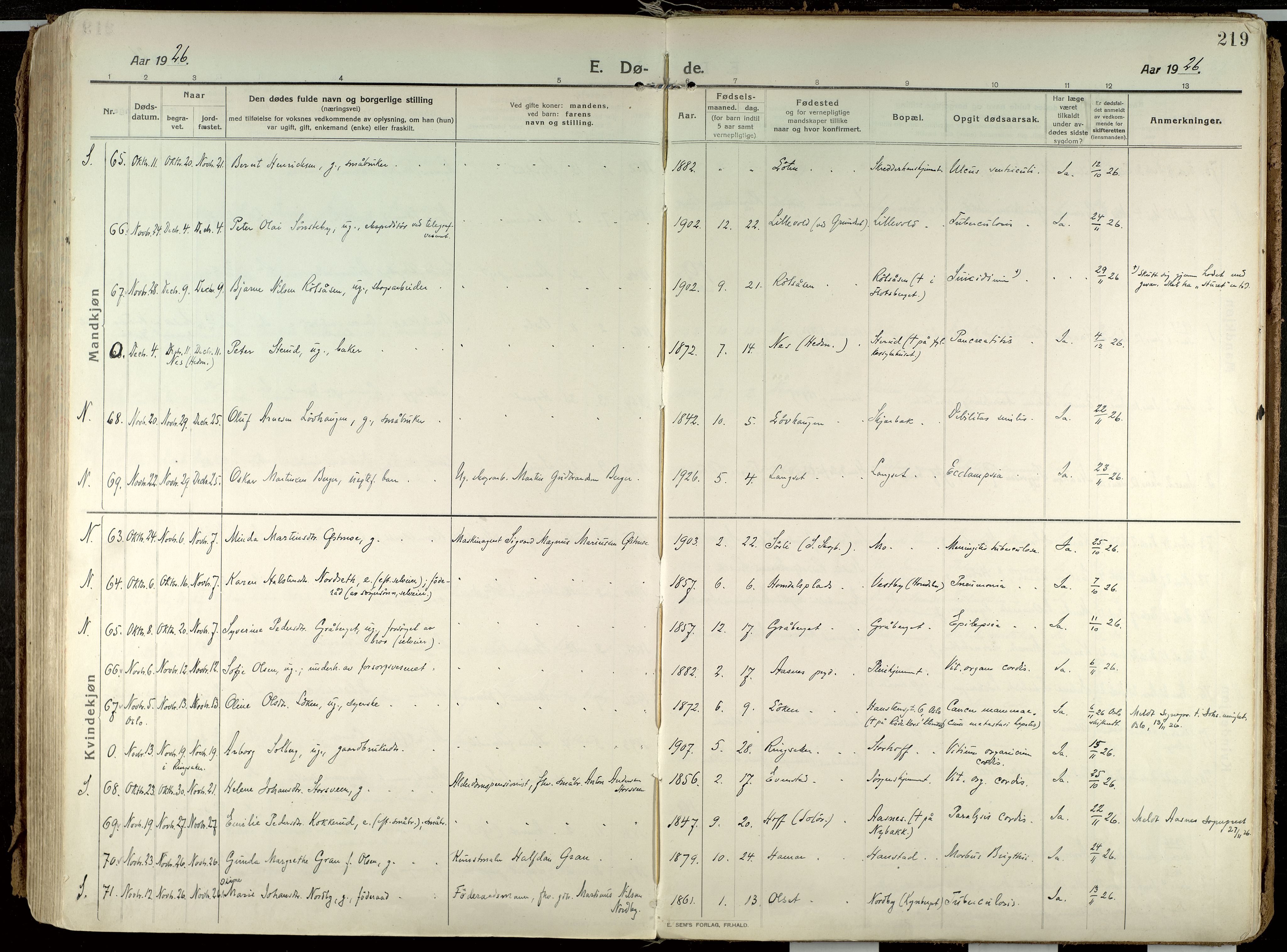 Elverum prestekontor, AV/SAH-PREST-044/H/Ha/Haa/L0021: Parish register (official) no. 21, 1913-1928, p. 219