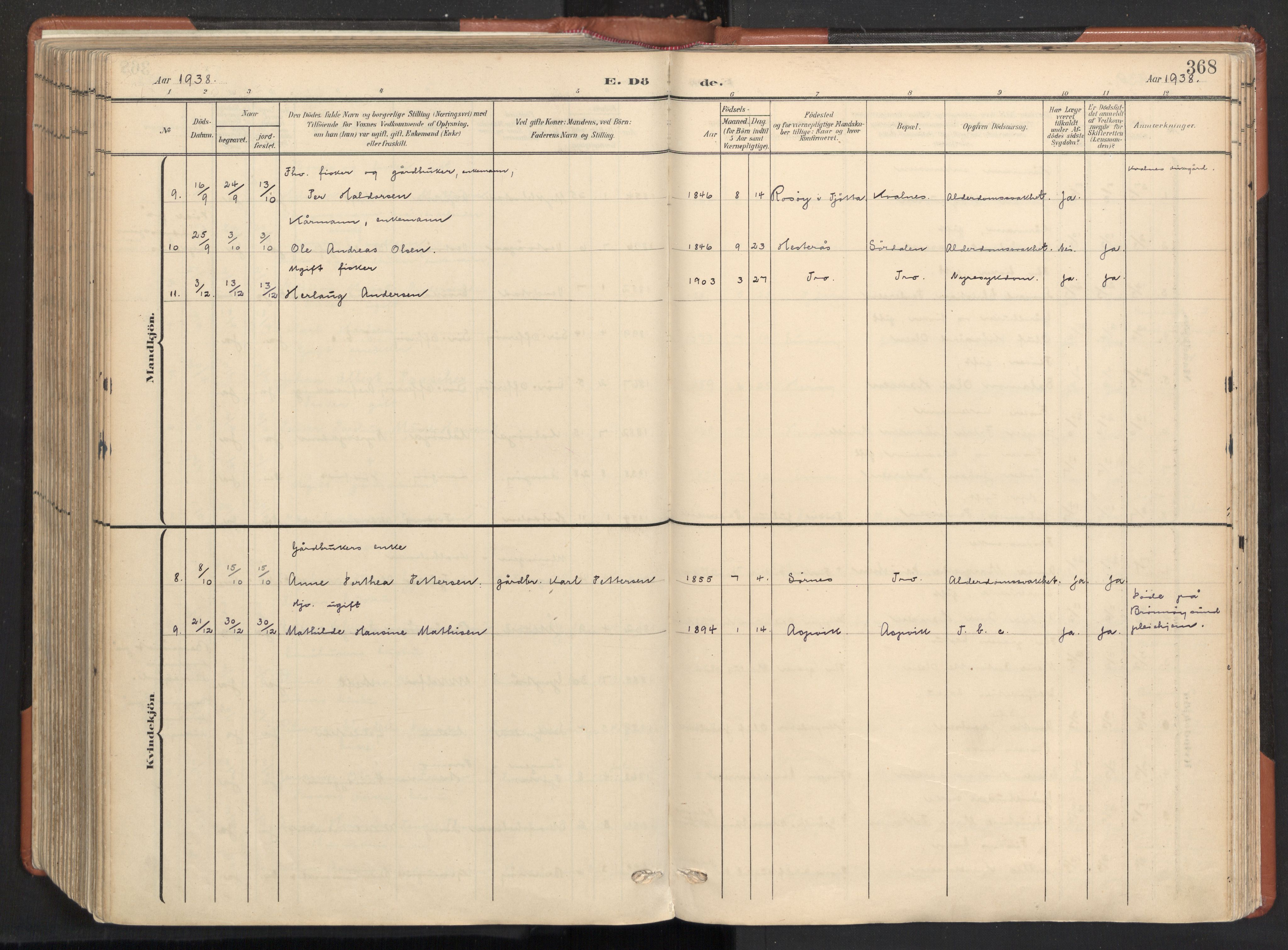 Ministerialprotokoller, klokkerbøker og fødselsregistre - Nordland, AV/SAT-A-1459/817/L0265: Parish register (official) no. 817A05, 1908-1944, p. 368