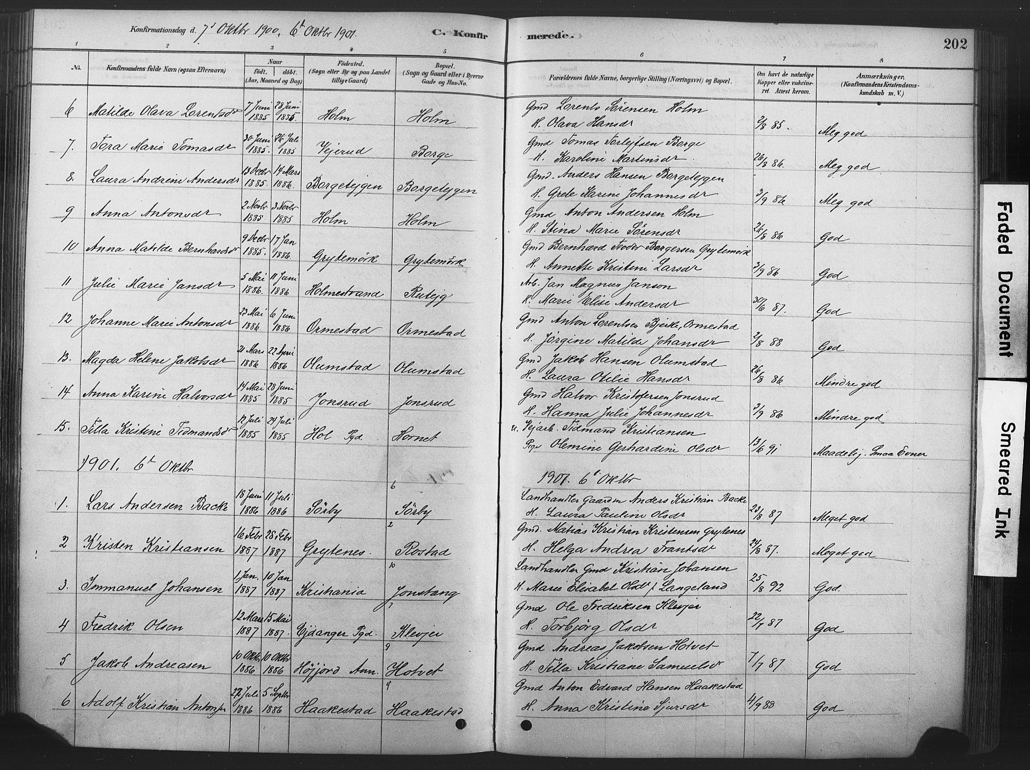 Våle kirkebøker, SAKO/A-334/F/Fa/L0011: Parish register (official) no. I 11, 1878-1906, p. 202