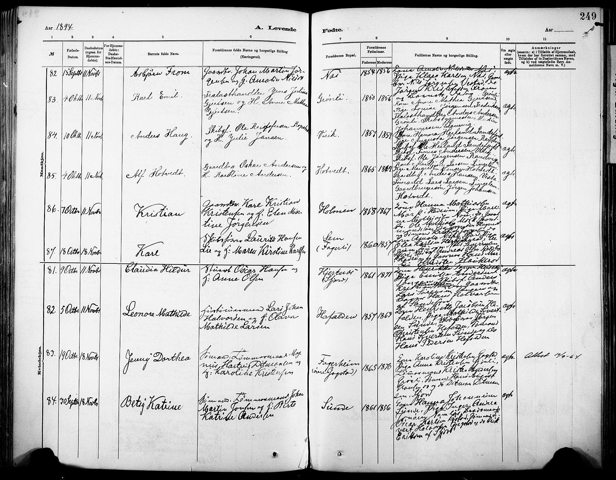 Sandar kirkebøker, AV/SAKO-A-243/F/Fa/L0012: Parish register (official) no. 12, 1883-1895, p. 249