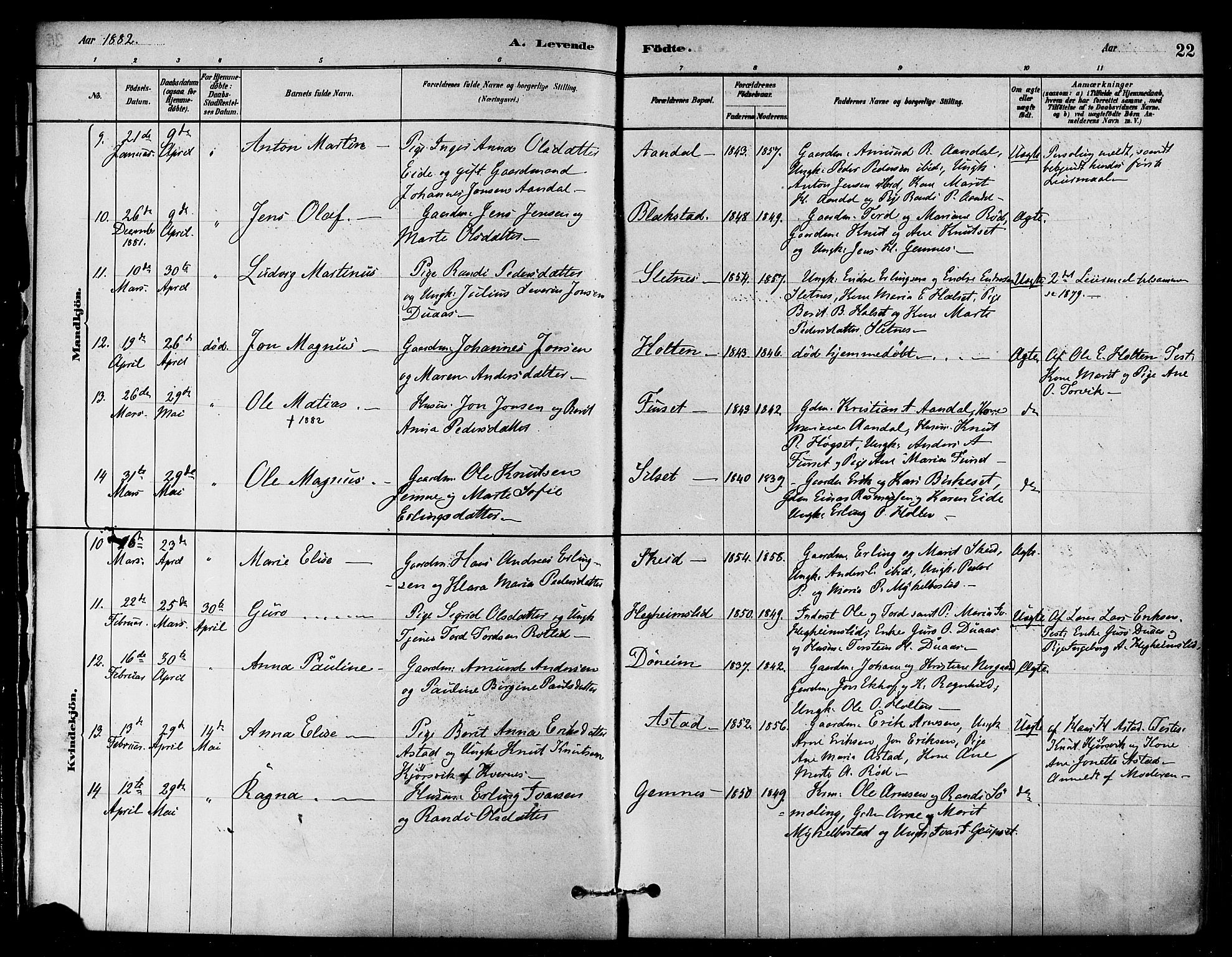 Ministerialprotokoller, klokkerbøker og fødselsregistre - Møre og Romsdal, AV/SAT-A-1454/584/L0967: Parish register (official) no. 584A07, 1879-1894, p. 22