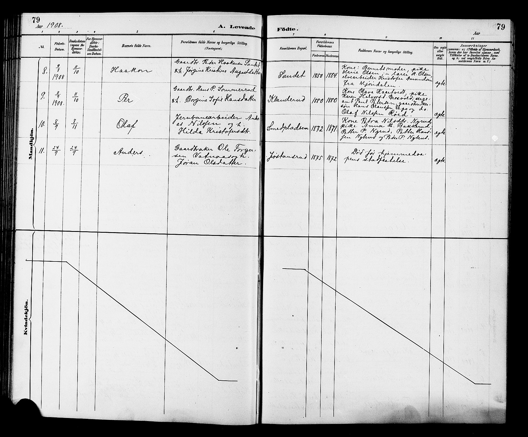 Fiskum kirkebøker, AV/SAKO-A-15/G/Ga/L0005: Parish register (copy) no. 5, 1887-1912, p. 79