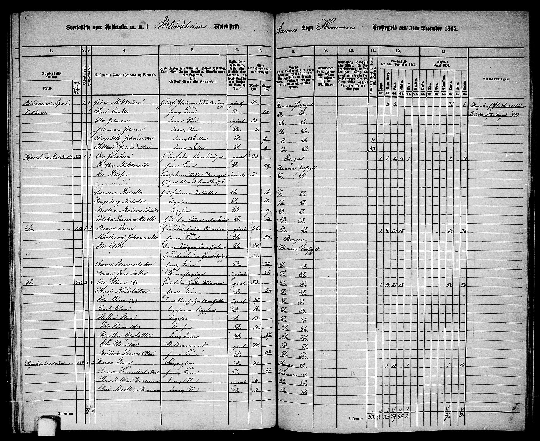 RA, 1865 census for Hamre, 1865, p. 195