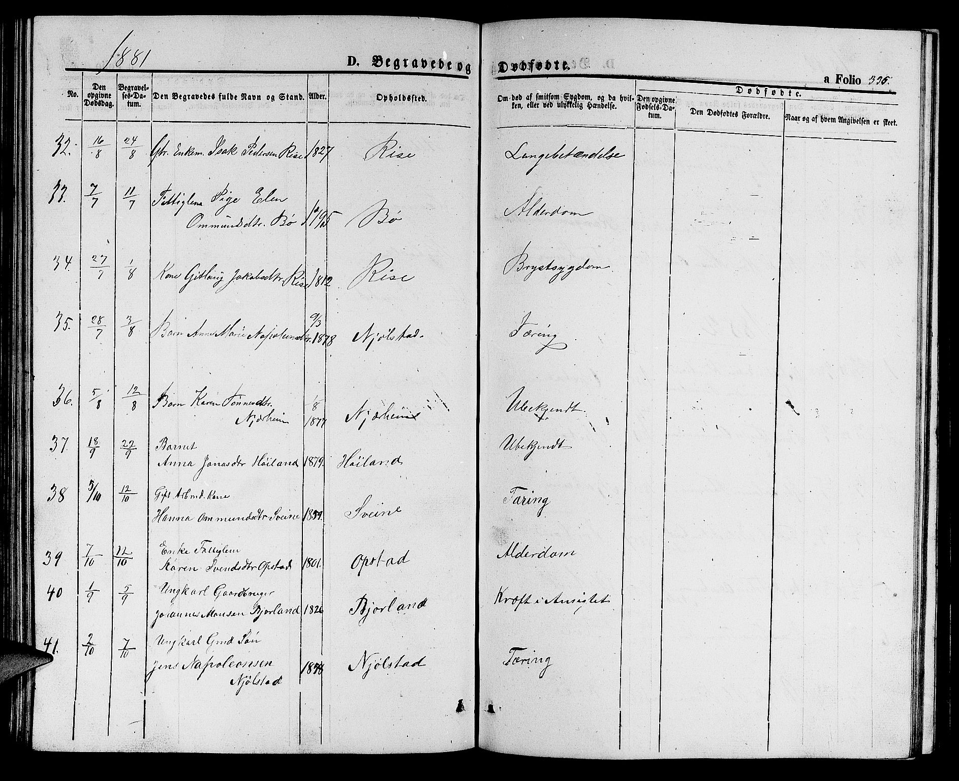 Hå sokneprestkontor, AV/SAST-A-101801/001/30BB/L0001: Parish register (copy) no. B 1, 1854-1883, p. 336