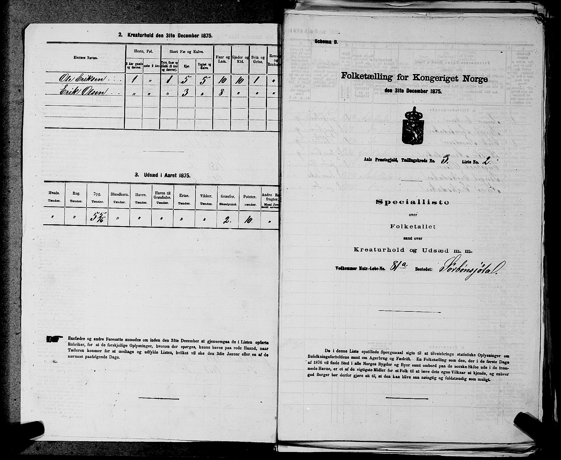 SAKO, 1875 census for 0619P Ål, 1875, p. 318