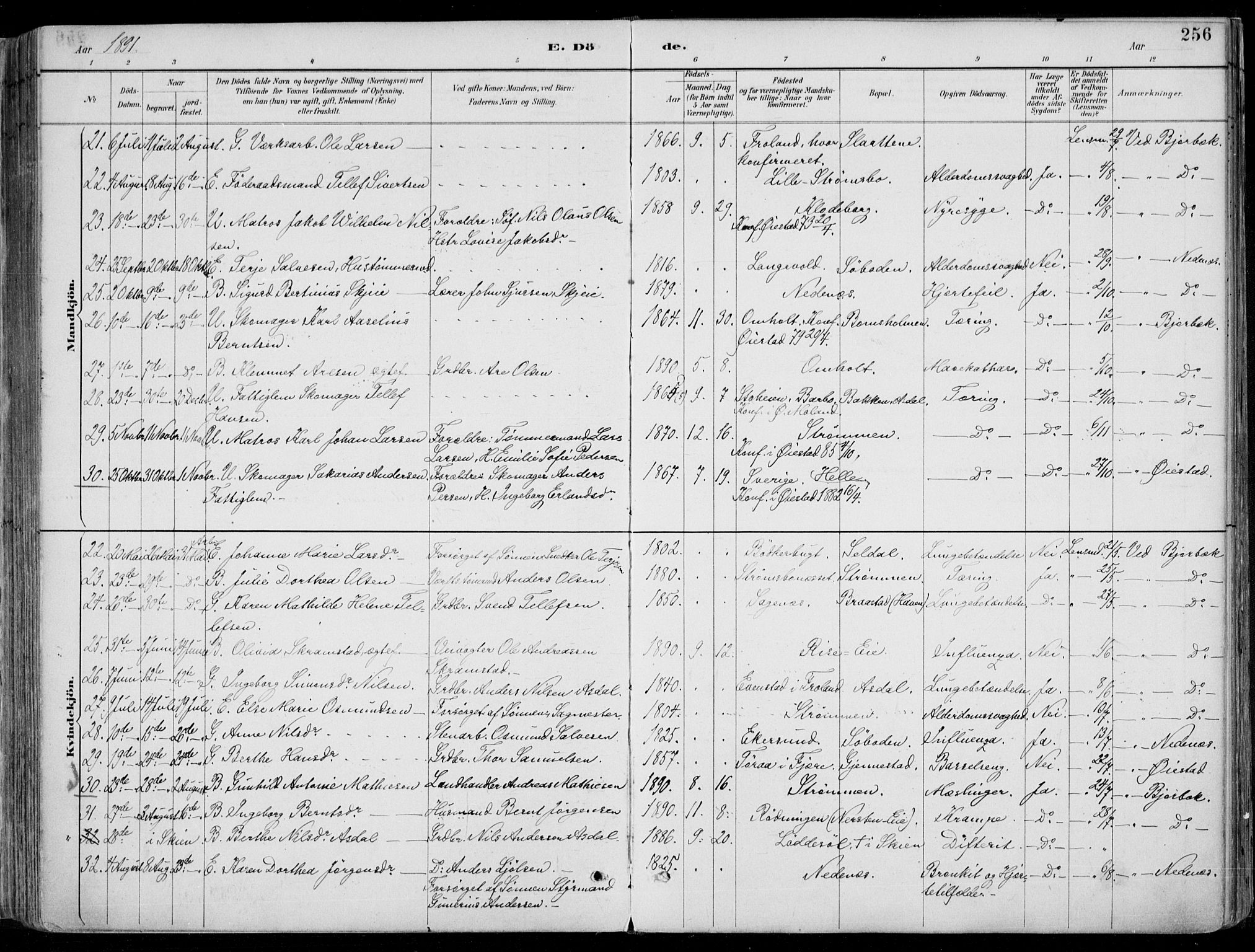 Øyestad sokneprestkontor, AV/SAK-1111-0049/F/Fa/L0017: Parish register (official) no. A 17, 1887-1896, p. 256