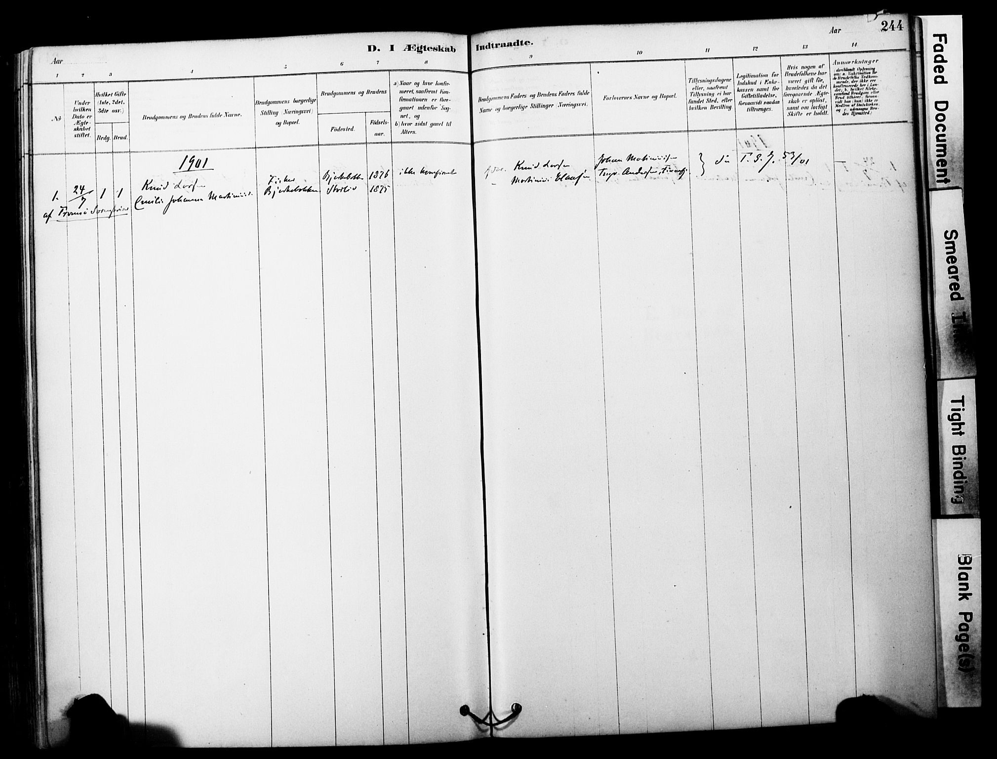 Tranøy sokneprestkontor, SATØ/S-1313/I/Ia/Iaa/L0011kirke: Parish register (official) no. 11, 1878-1904, p. 244