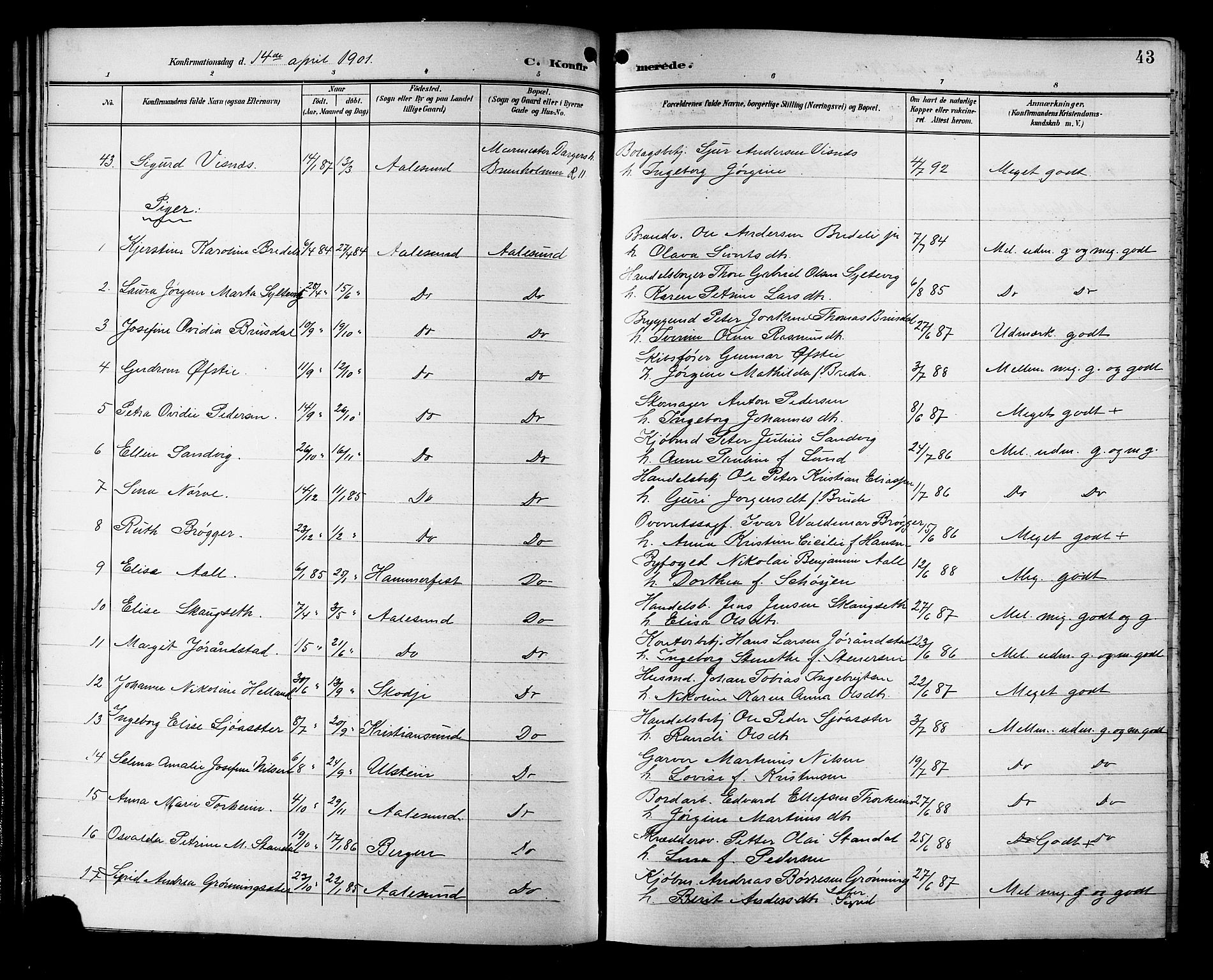 Ministerialprotokoller, klokkerbøker og fødselsregistre - Møre og Romsdal, AV/SAT-A-1454/529/L0469: Parish register (copy) no. 529C06, 1898-1906, p. 43