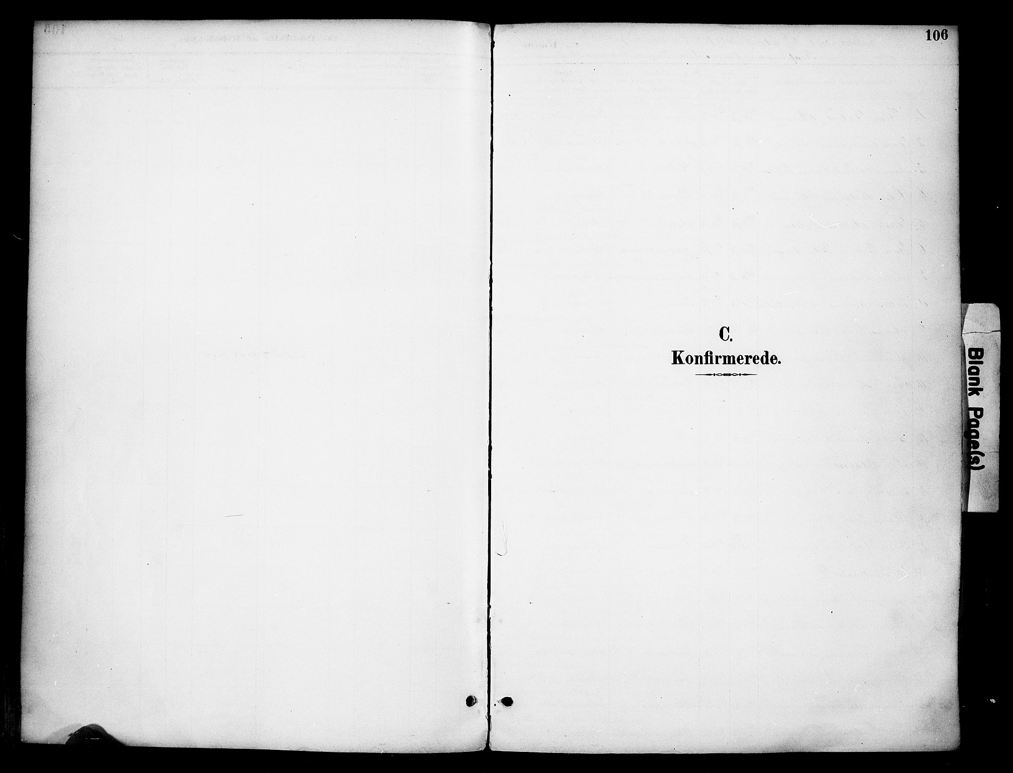 Ringsaker prestekontor, SAH/PREST-014/K/Ka/L0016: Parish register (official) no. 16, 1891-1904, p. 106