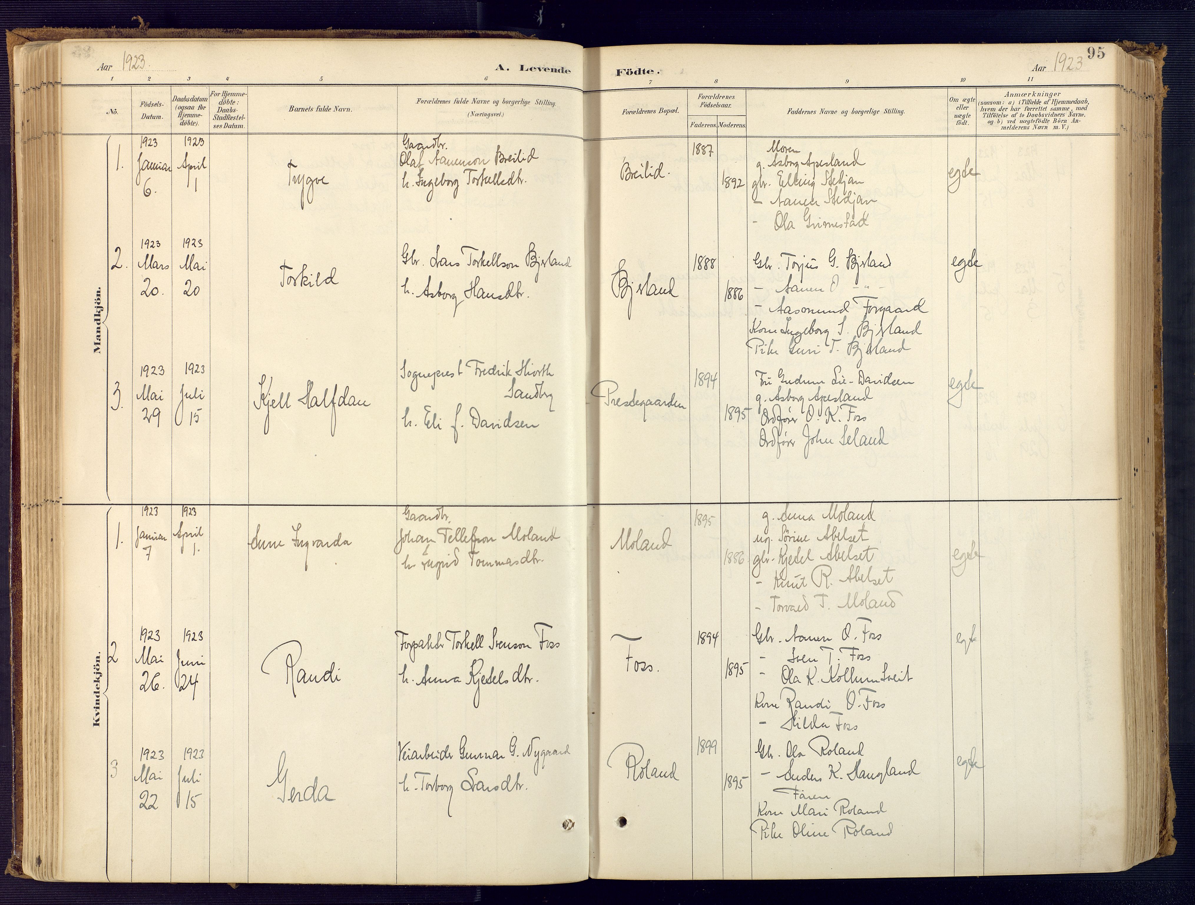 Bjelland sokneprestkontor, SAK/1111-0005/F/Fa/Faa/L0004: Parish register (official) no. A 4, 1887-1923, p. 95