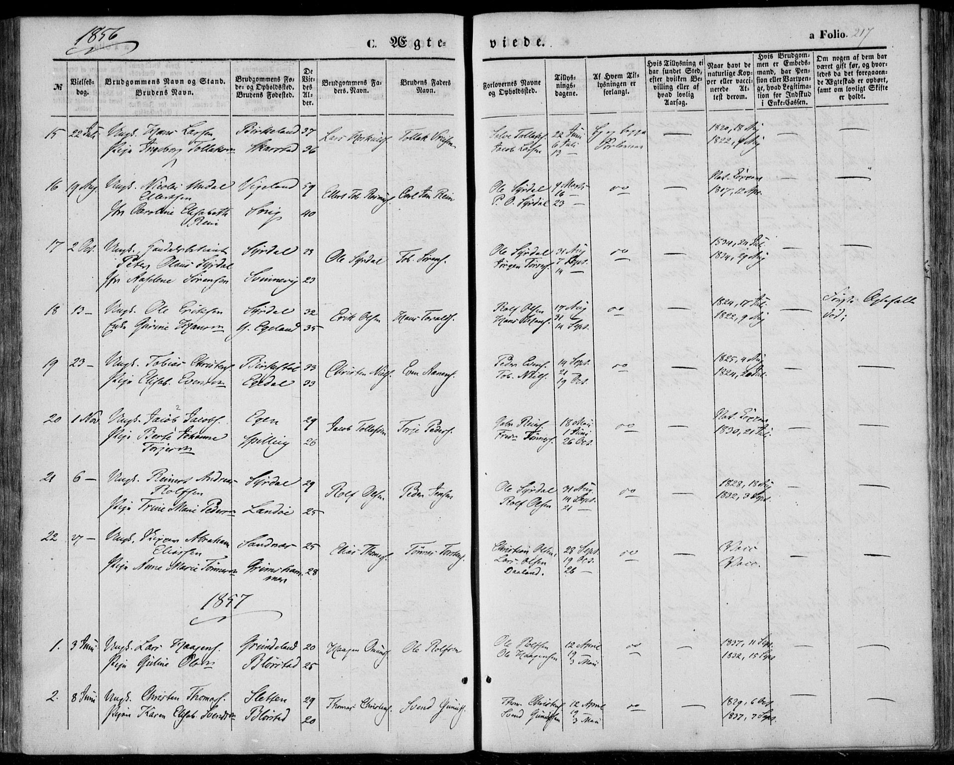 Sør-Audnedal sokneprestkontor, AV/SAK-1111-0039/F/Fa/Fab/L0007: Parish register (official) no. A 7, 1855-1876, p. 217