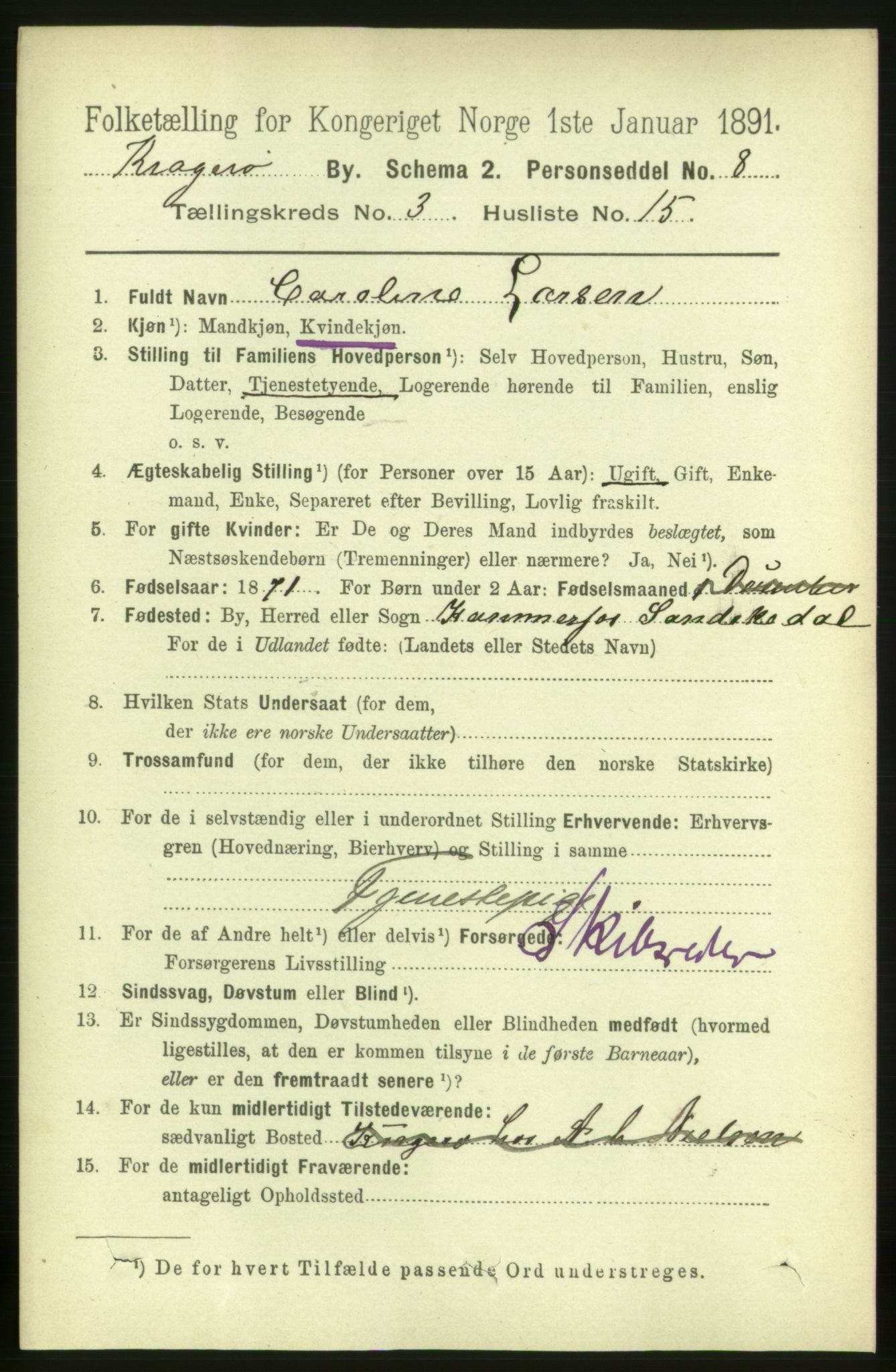 RA, 1891 census for 0801 Kragerø, 1891, p. 2790