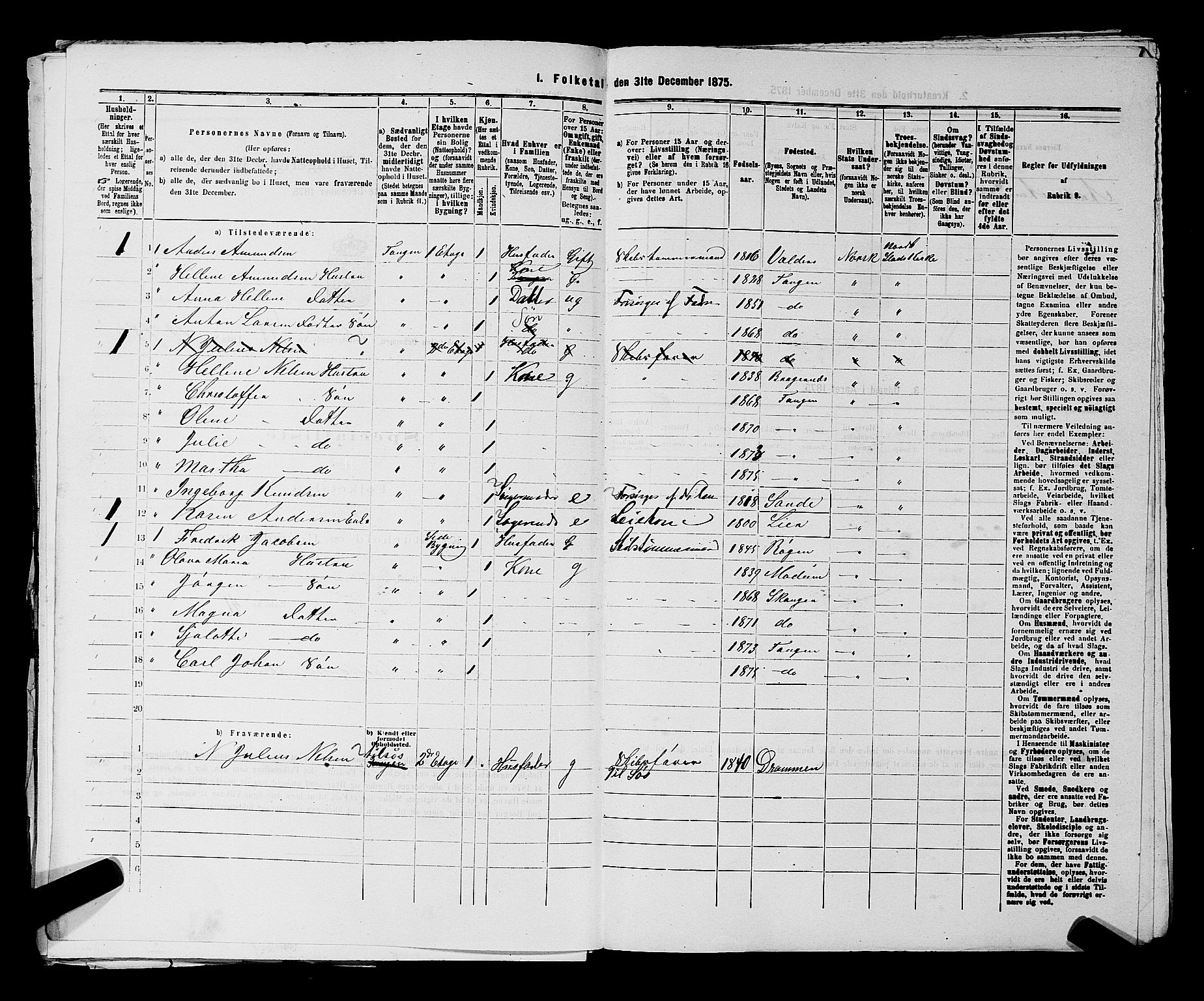 SAKO, 1875 census for 0602 Drammen, 1875, p. 3492