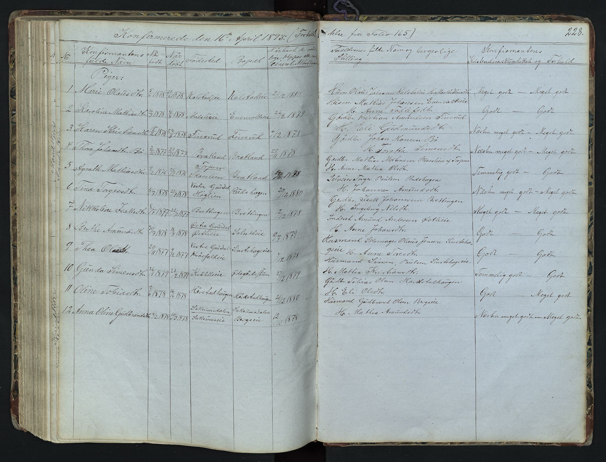 Vestre Gausdal prestekontor, SAH/PREST-094/H/Ha/Hab/L0001: Parish register (copy) no. 1, 1867-1895, p. 228