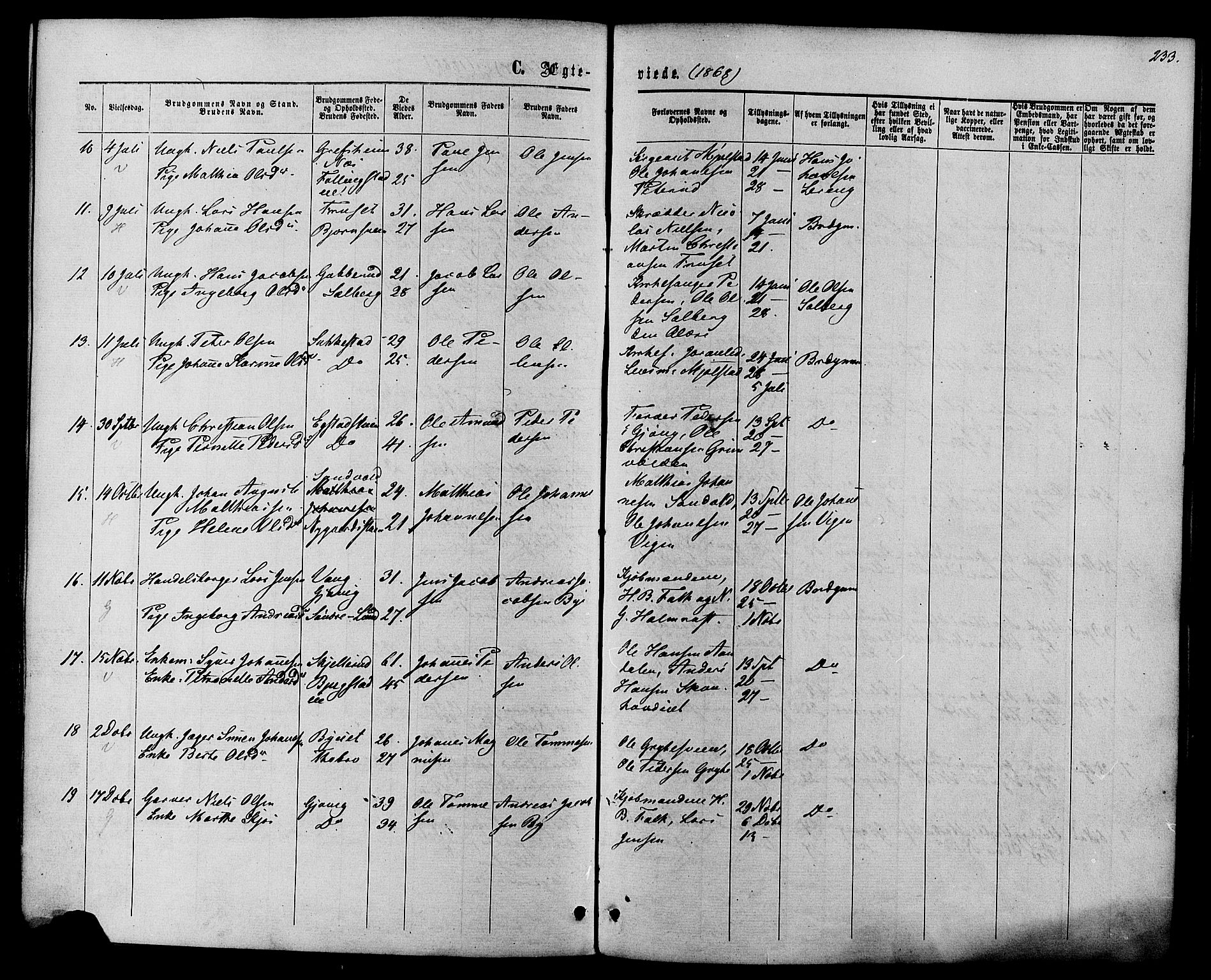 Vardal prestekontor, SAH/PREST-100/H/Ha/Haa/L0007: Parish register (official) no. 7, 1867-1878, p. 233