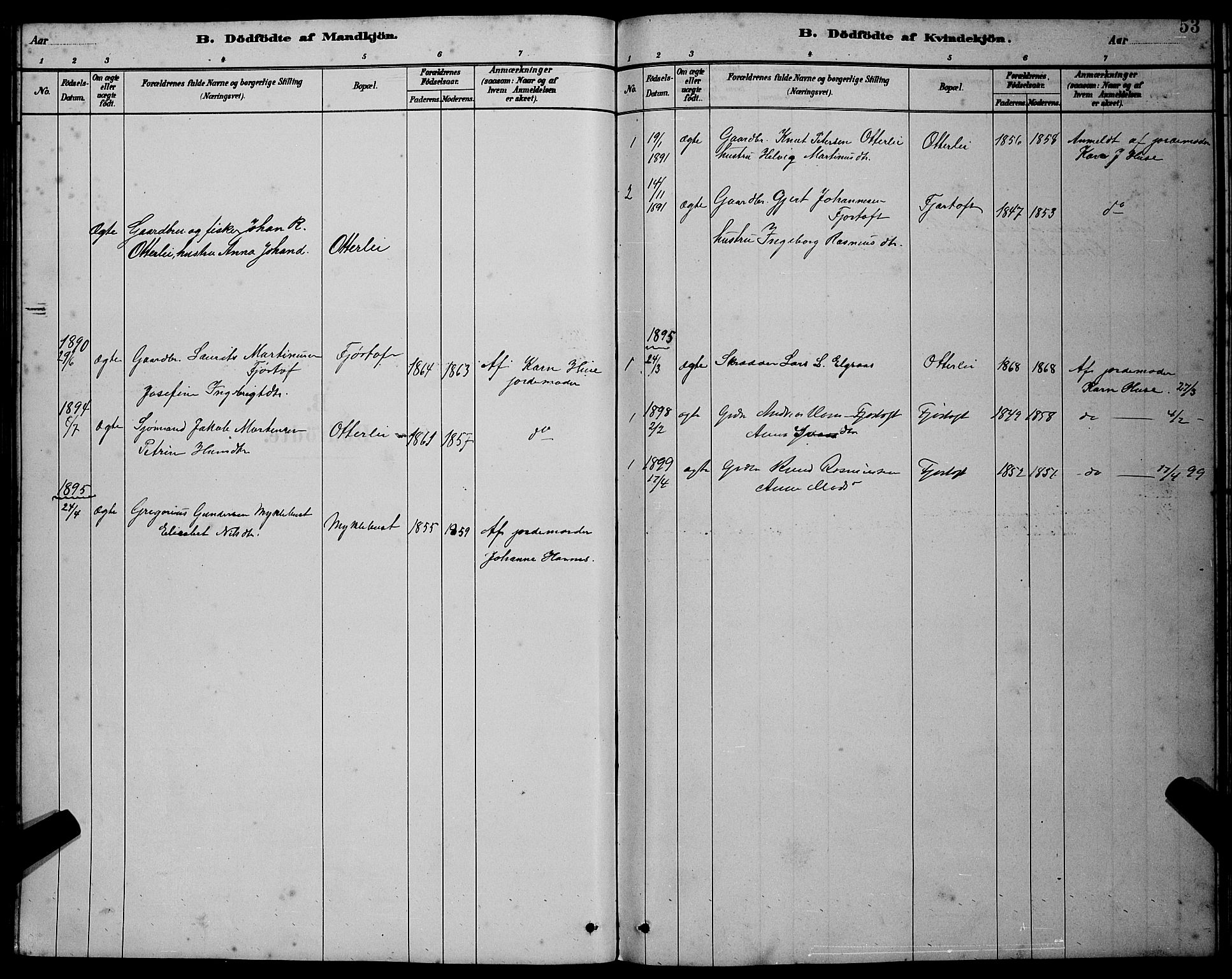 Ministerialprotokoller, klokkerbøker og fødselsregistre - Møre og Romsdal, SAT/A-1454/538/L0523: Parish register (copy) no. 538C01, 1881-1900, p. 53