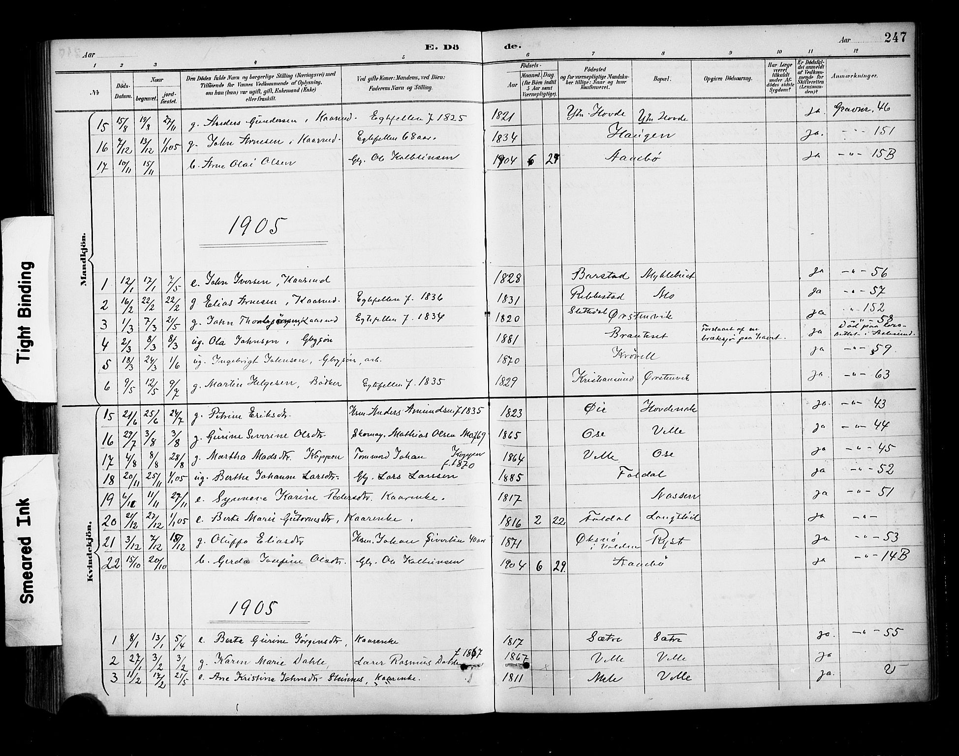 Ministerialprotokoller, klokkerbøker og fødselsregistre - Møre og Romsdal, AV/SAT-A-1454/513/L0177: Parish register (official) no. 513A04, 1890-1906, p. 247