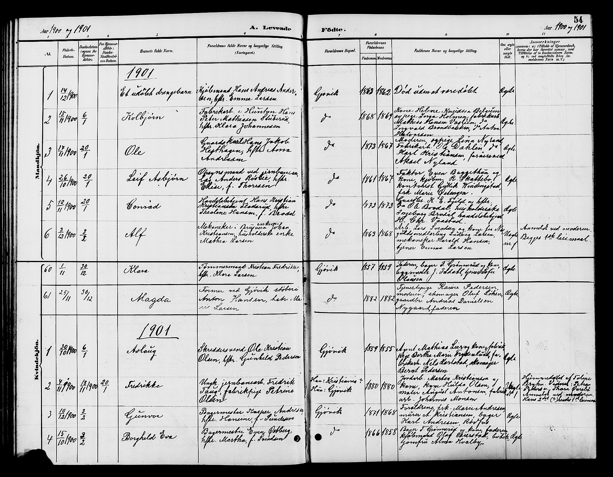 Vardal prestekontor, SAH/PREST-100/H/Ha/Hab/L0009: Parish register (copy) no. 9, 1894-1902, p. 54