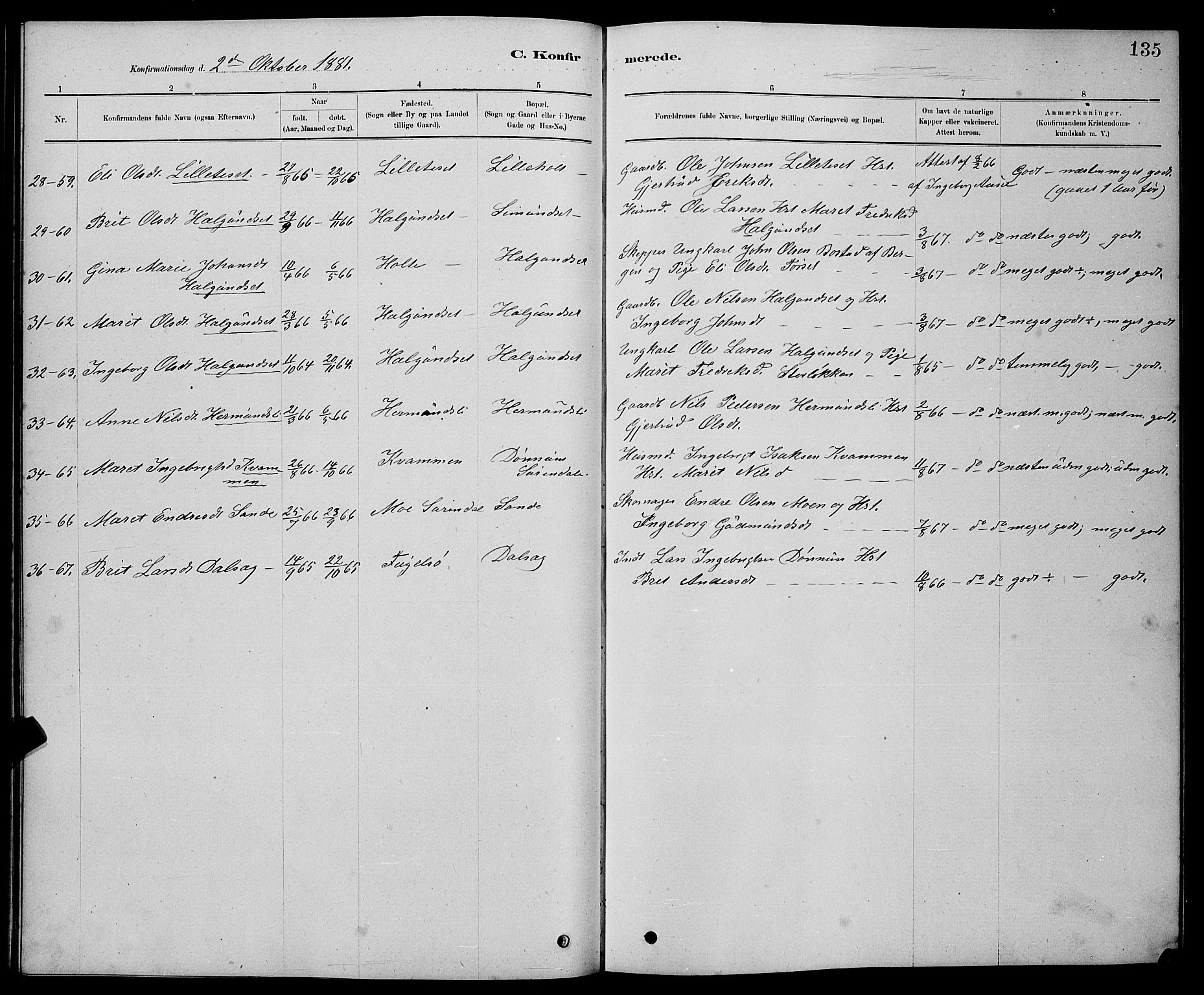 Ministerialprotokoller, klokkerbøker og fødselsregistre - Møre og Romsdal, AV/SAT-A-1454/598/L1077: Parish register (copy) no. 598C02, 1879-1891, p. 135