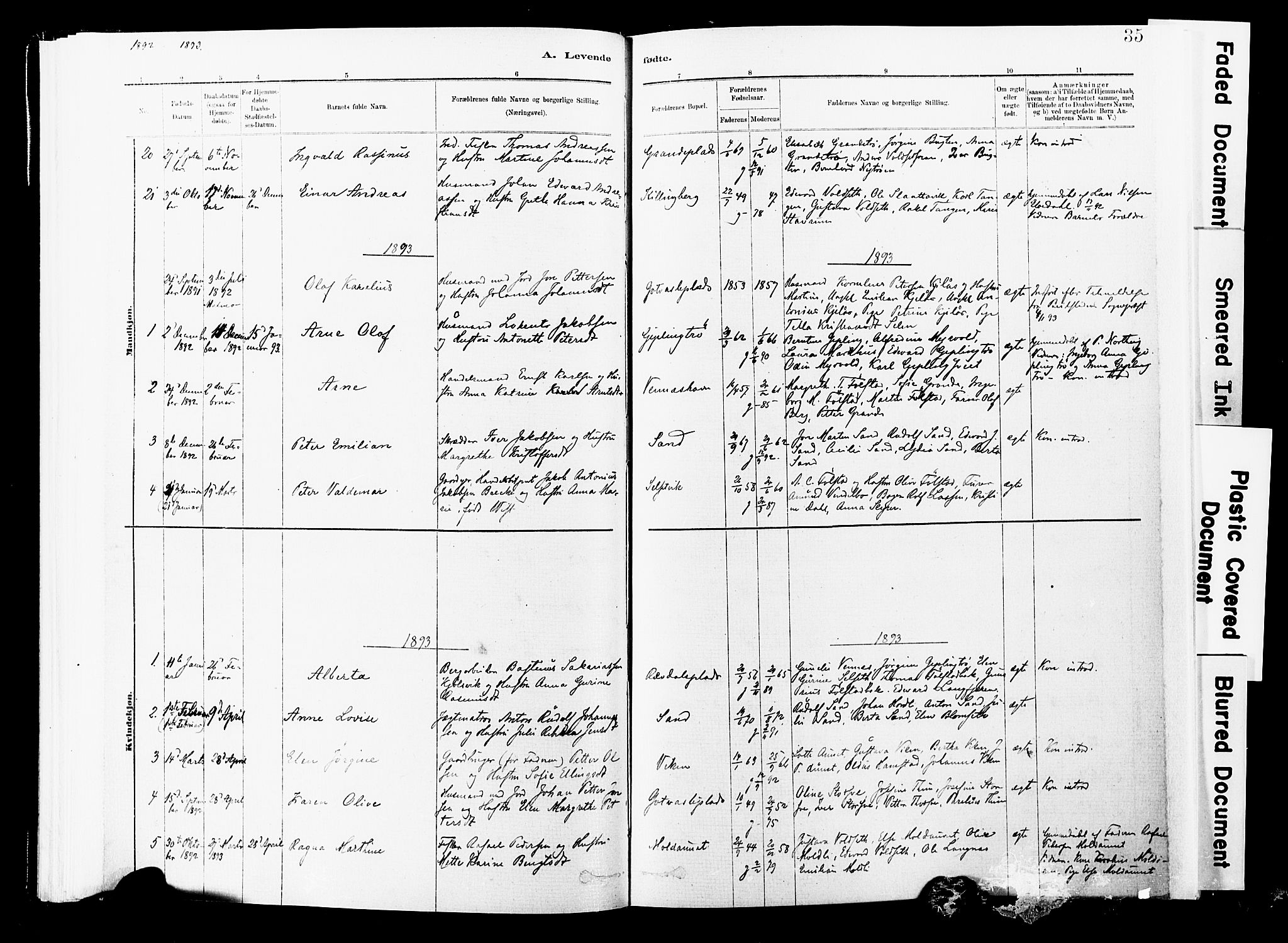 Ministerialprotokoller, klokkerbøker og fødselsregistre - Nord-Trøndelag, SAT/A-1458/744/L0420: Parish register (official) no. 744A04, 1882-1904, p. 35