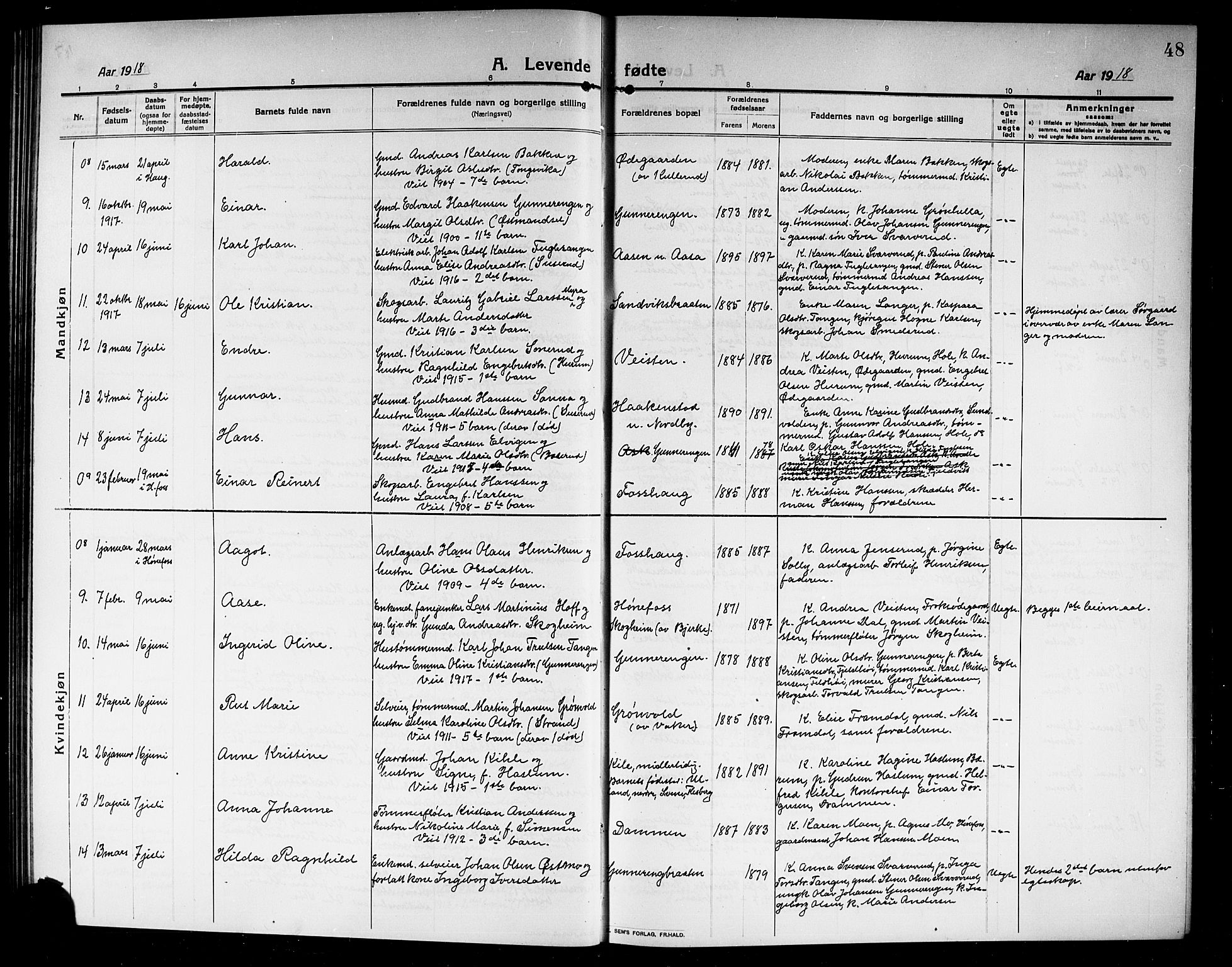 Norderhov kirkebøker, AV/SAKO-A-237/G/Ga/L0009: Parish register (copy) no. I 9, 1913-1920, p. 48