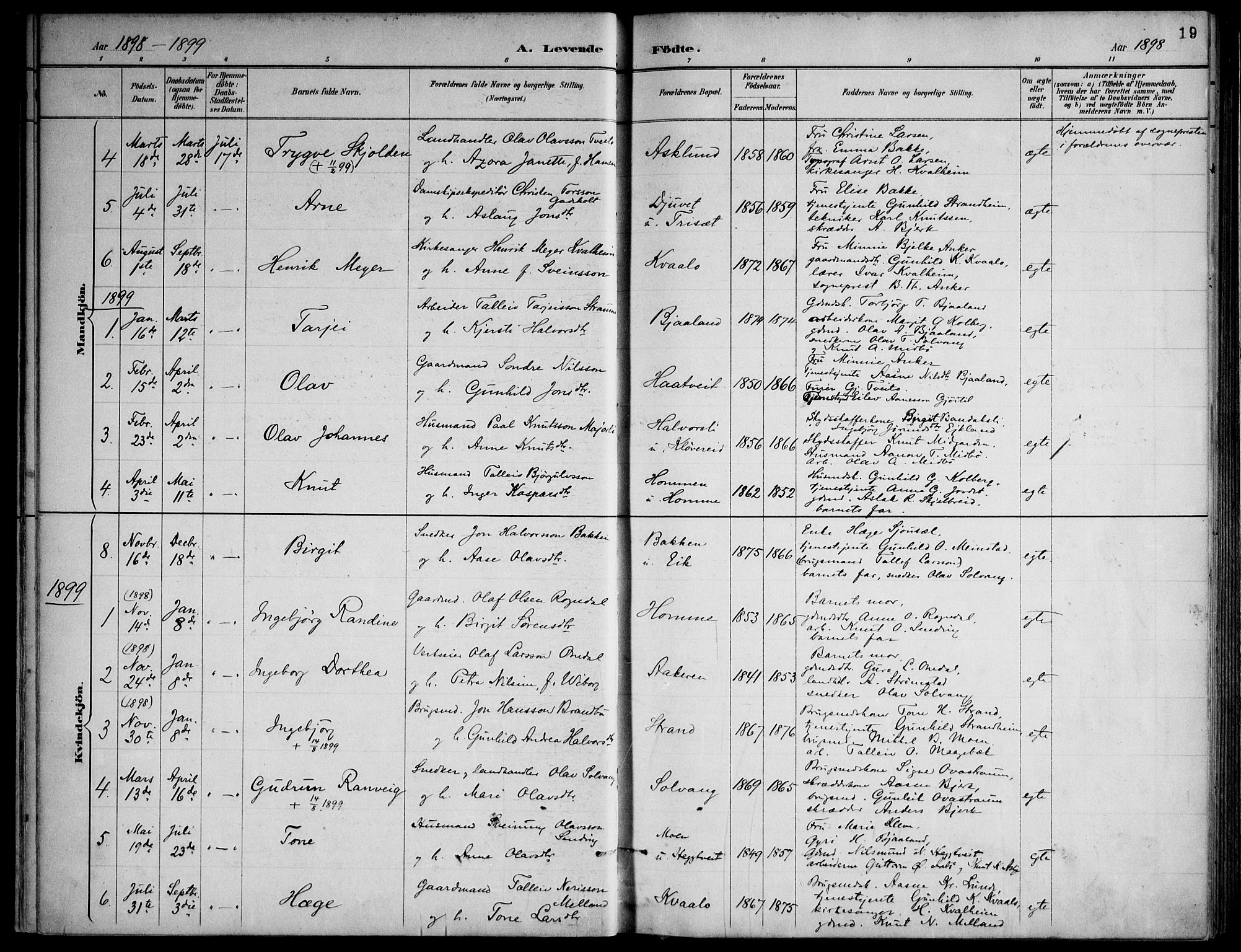 Lårdal kirkebøker, SAKO/A-284/F/Fa/L0007: Parish register (official) no. I 7, 1887-1906, p. 19