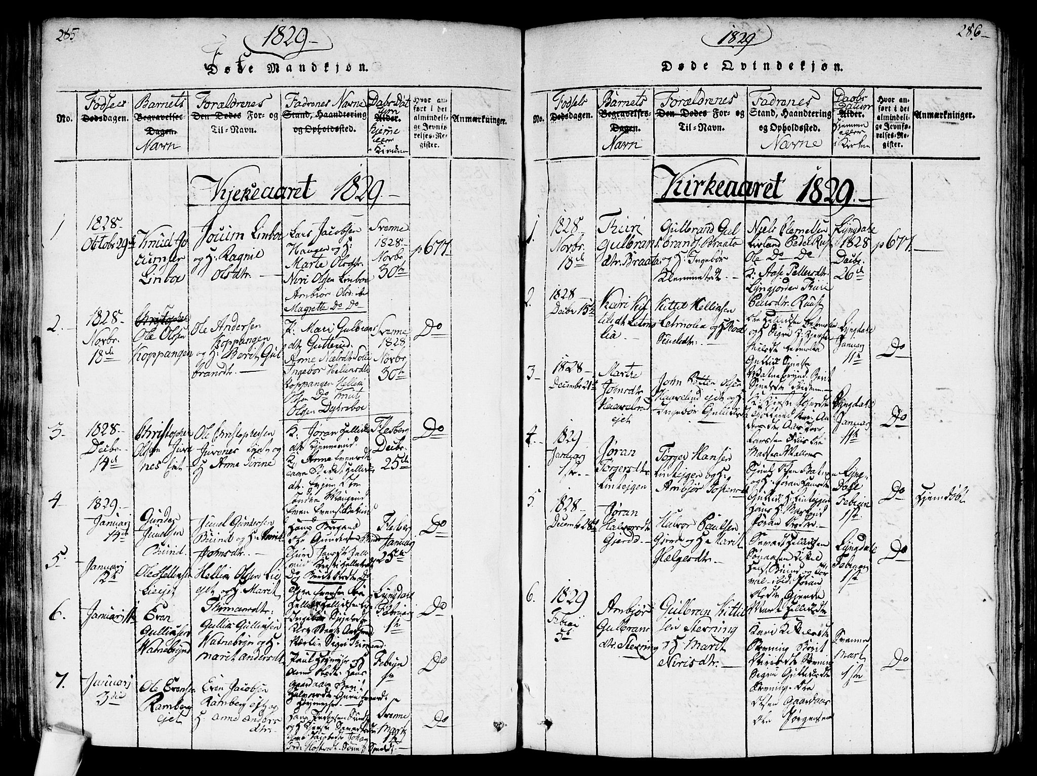 Flesberg kirkebøker, AV/SAKO-A-18/G/Ga/L0001: Parish register (copy) no. I 1, 1816-1834, p. 285-286