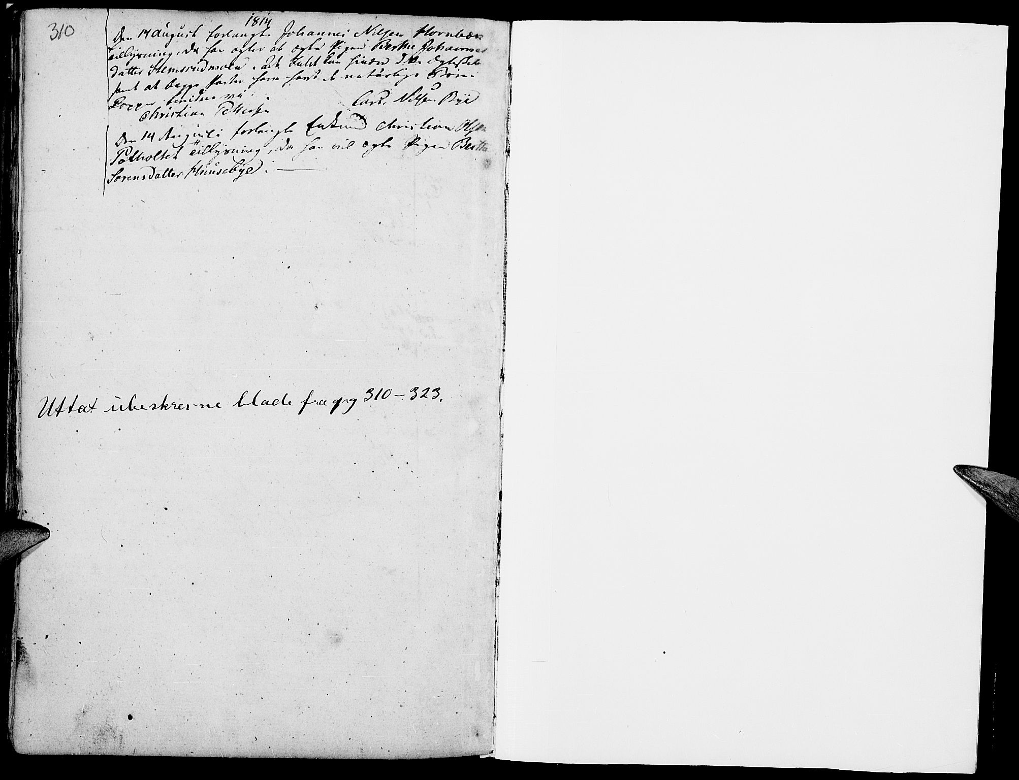 Grue prestekontor, AV/SAH-PREST-036/H/Ha/Haa/L0005: Parish register (official) no. 5, 1805-1814, p. 310-311