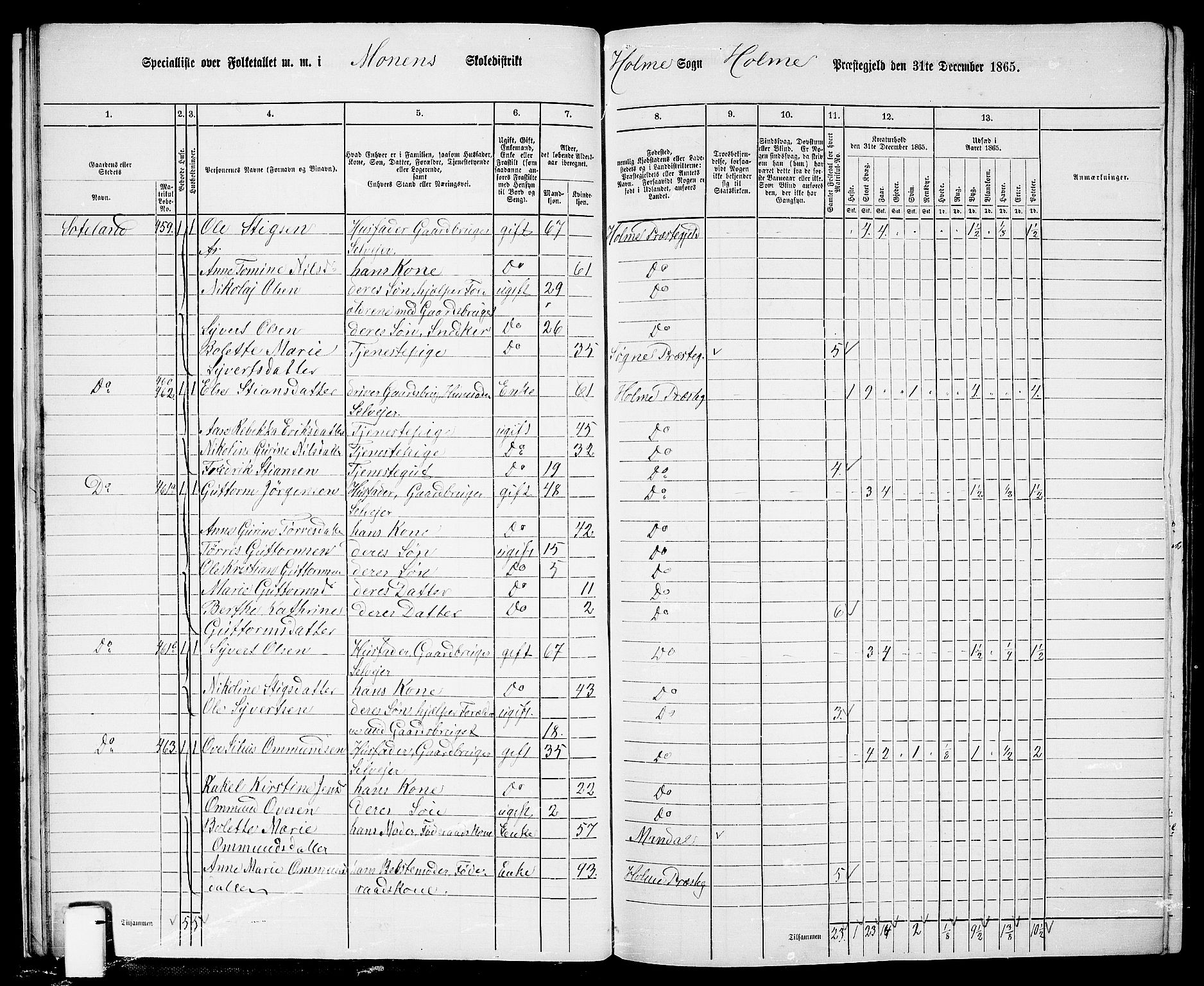 RA, 1865 census for Holum, 1865, p. 24