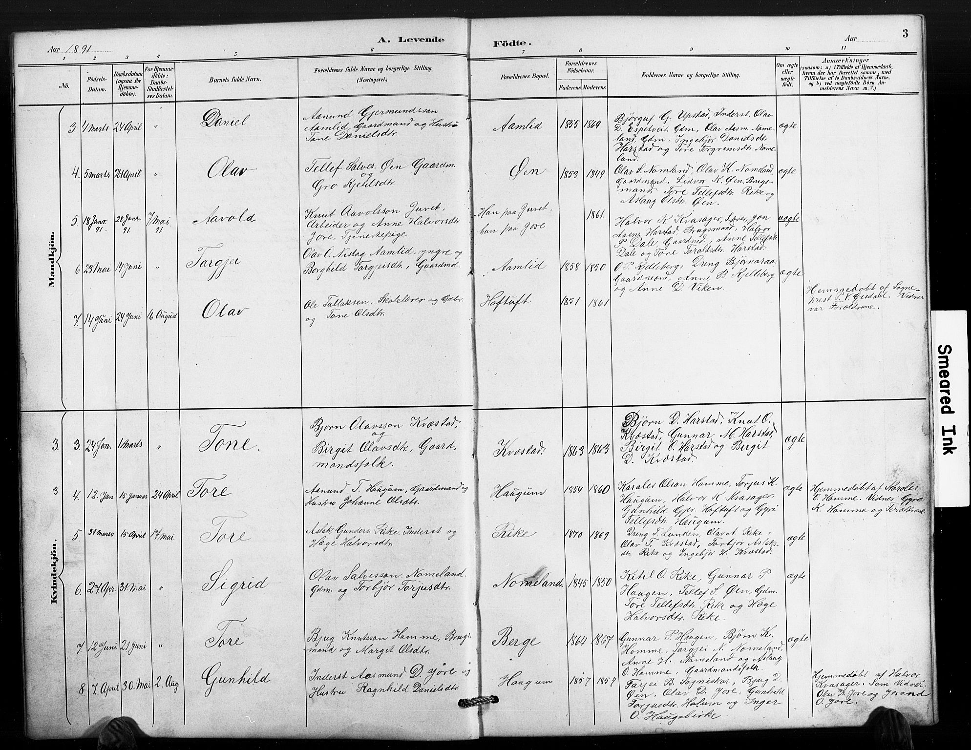 Valle sokneprestkontor, AV/SAK-1111-0044/F/Fb/Fbc/L0004: Parish register (copy) no. B 4, 1890-1928, p. 3