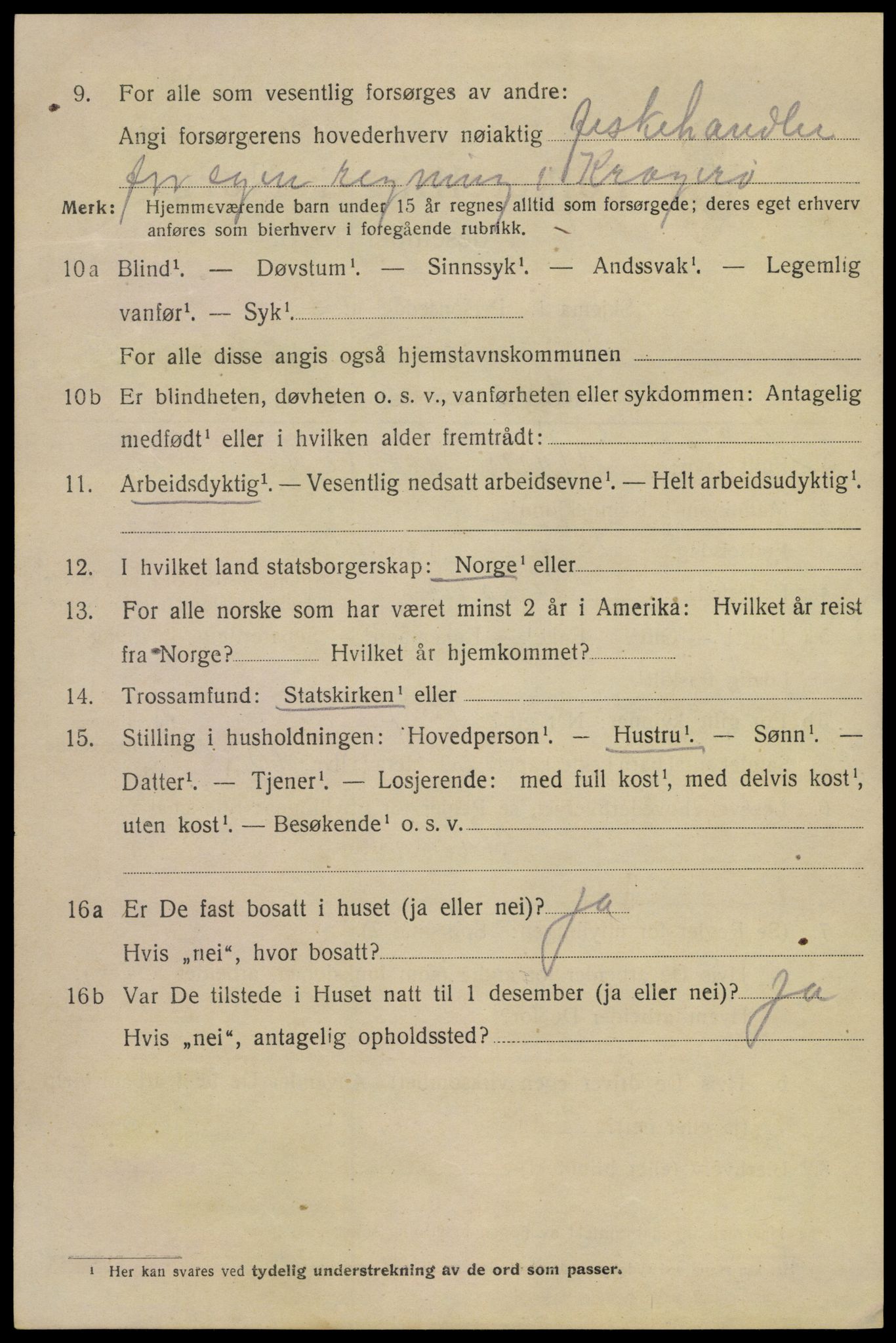 SAKO, 1920 census for Kragerø, 1920, p. 9030