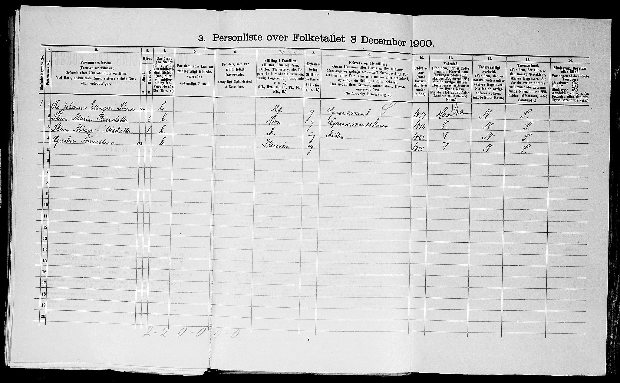 SAST, 1900 census for Haaland, 1900, p. 878