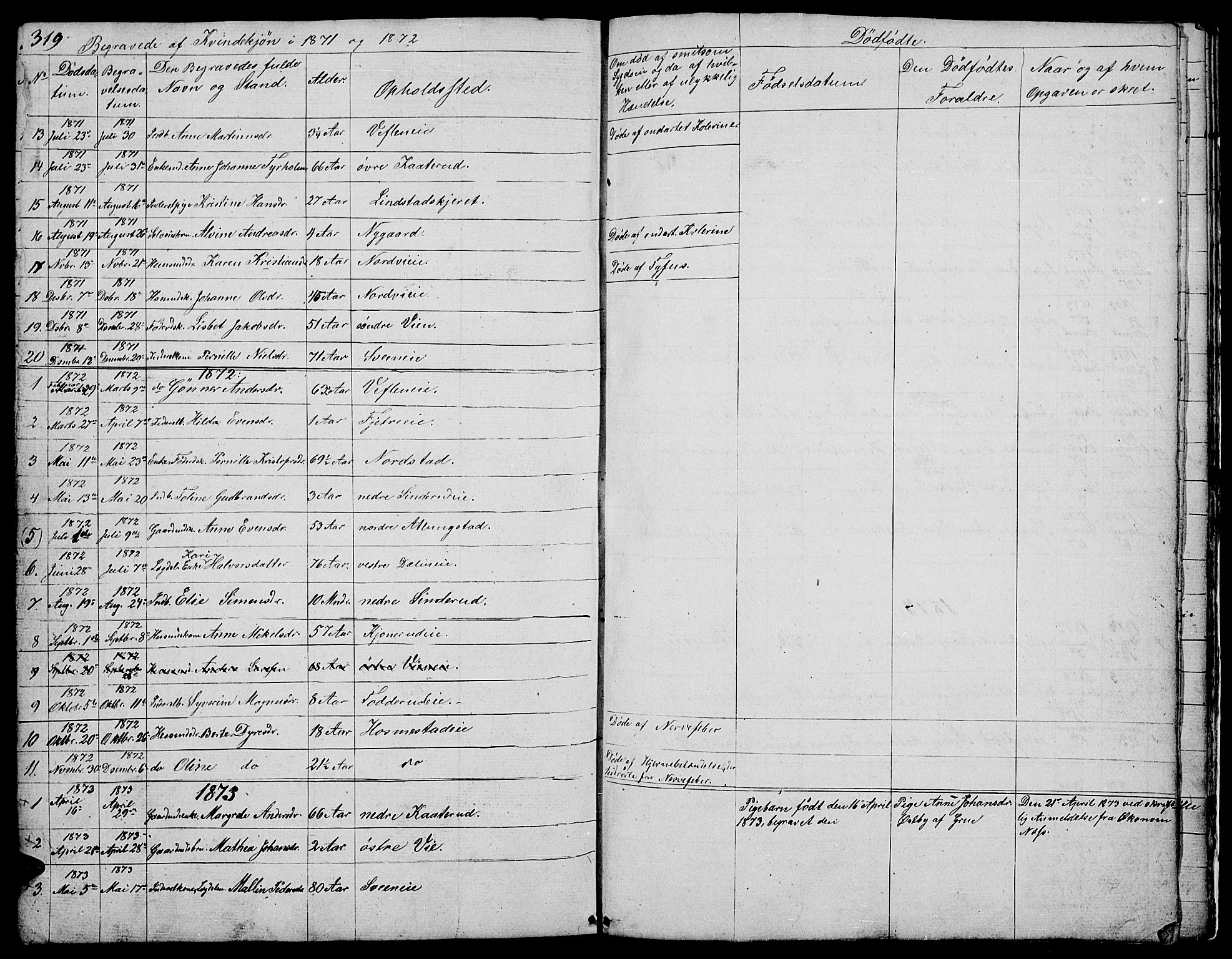 Stange prestekontor, SAH/PREST-002/L/L0002: Parish register (copy) no. 2, 1838-1879, p. 319