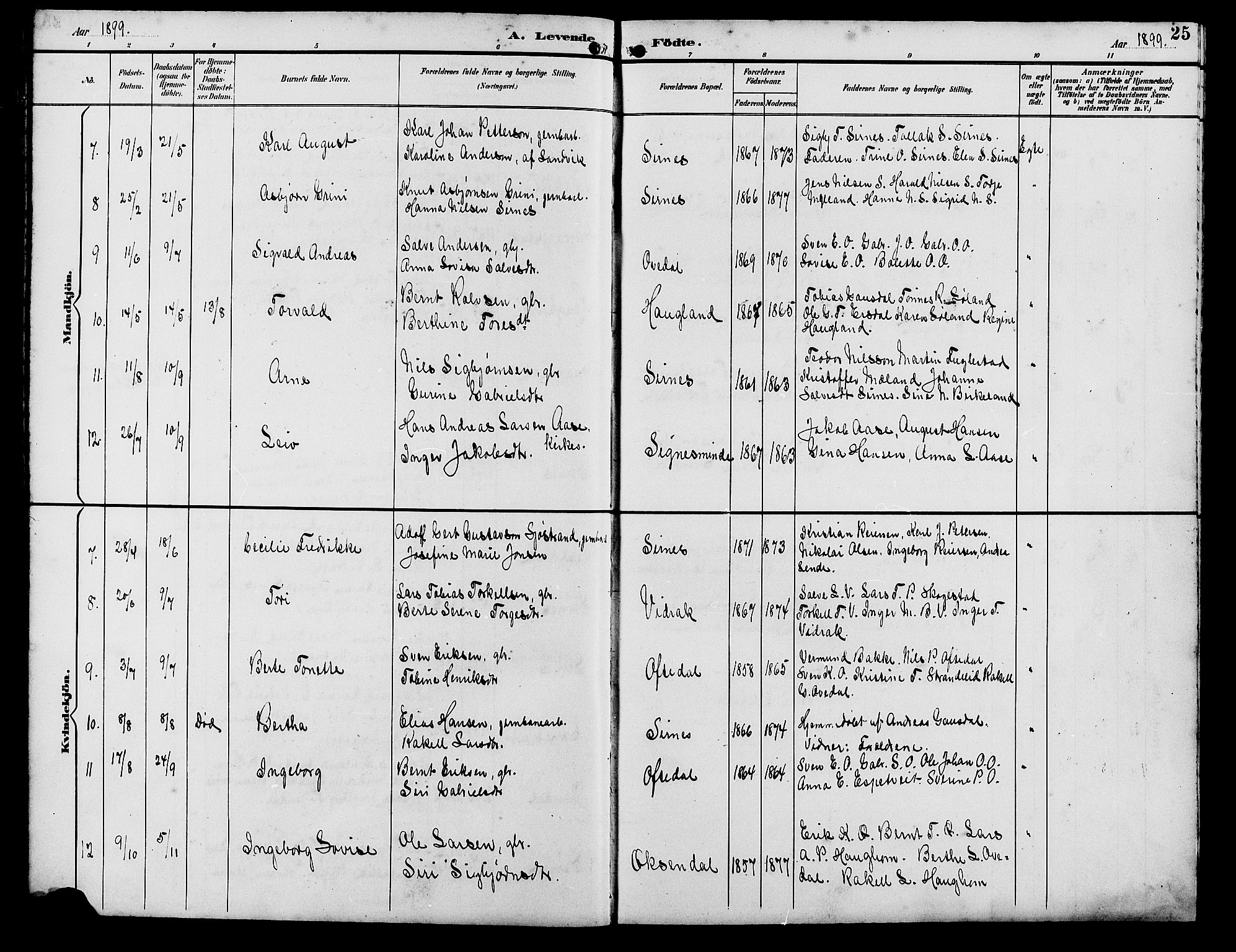 Bakke sokneprestkontor, SAK/1111-0002/F/Fb/Fba/L0003: Parish register (copy) no. B 3, 1894-1910, p. 25