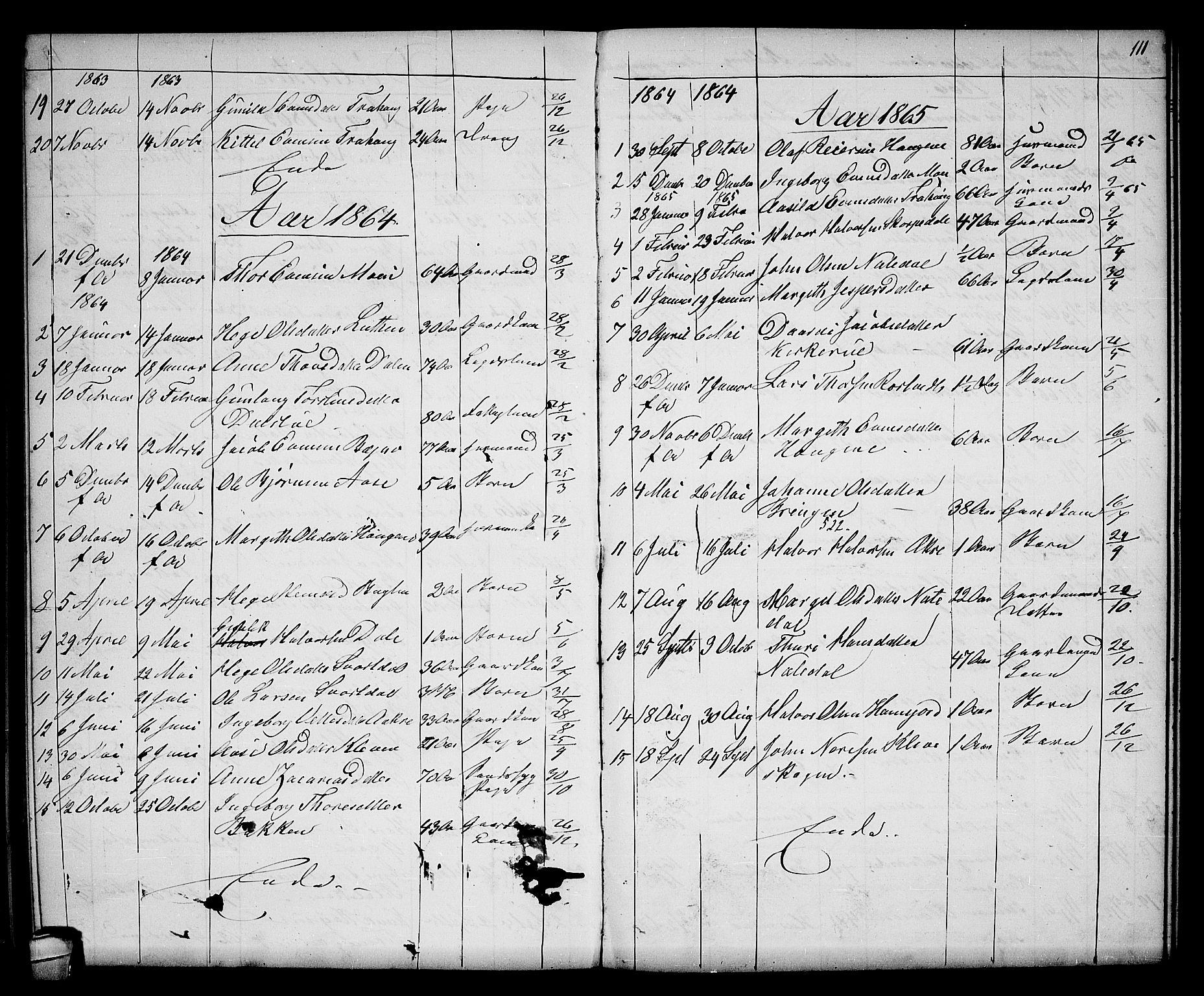 Seljord kirkebøker, SAKO/A-20/G/Gb/L0003: Parish register (copy) no. II 3, 1863-1884, p. 111