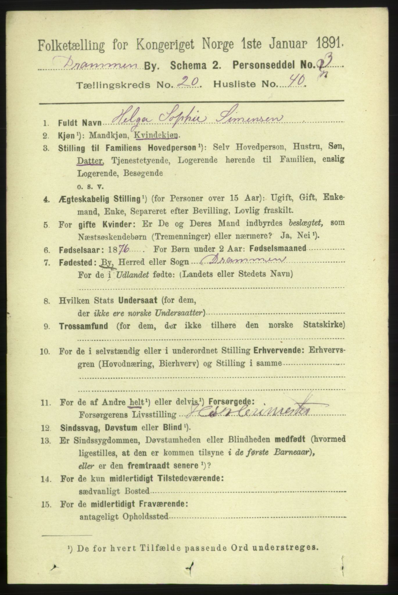 RA, 1891 census for 0602 Drammen, 1891, p. 13017