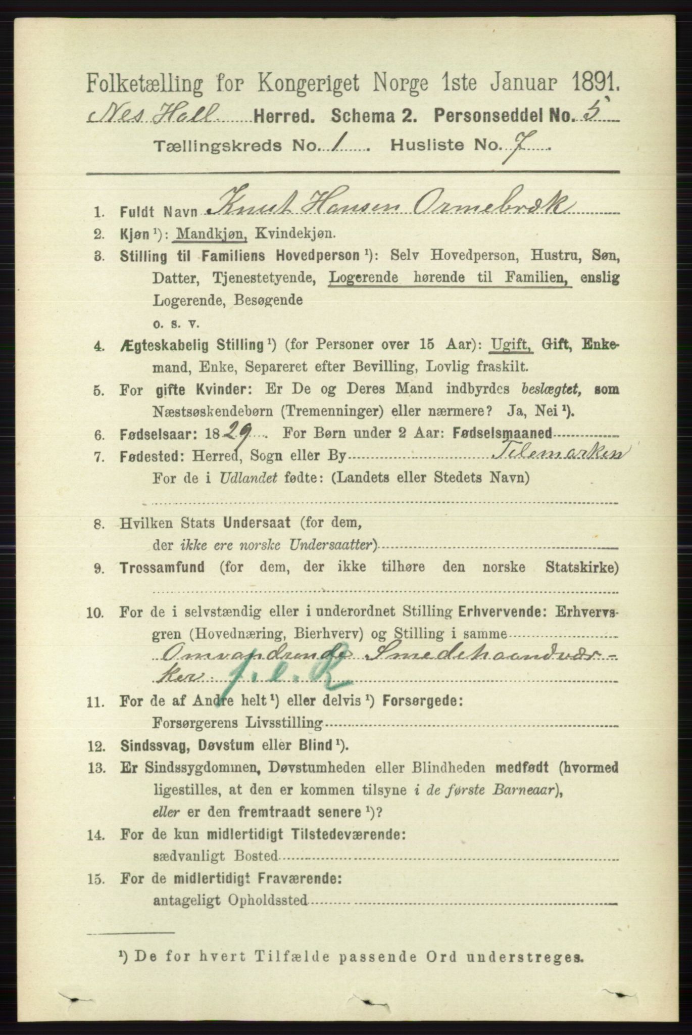 RA, 1891 census for 0616 Nes, 1891, p. 214