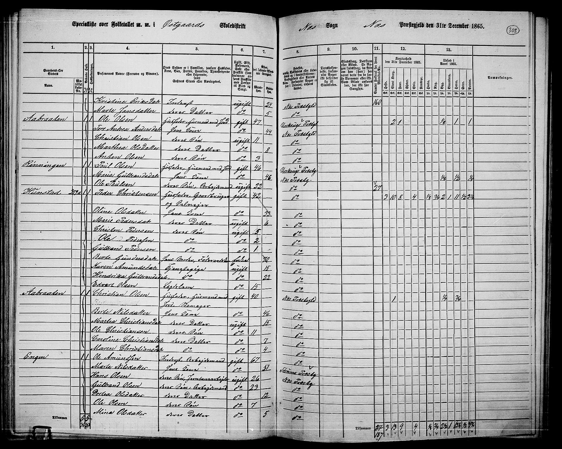 RA, 1865 census for Nes, 1865, p. 283