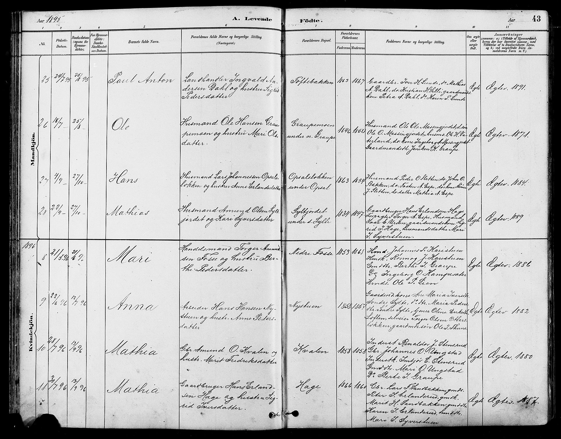 Nord-Fron prestekontor, SAH/PREST-080/H/Ha/Hab/L0005: Parish register (copy) no. 5, 1884-1914, p. 43